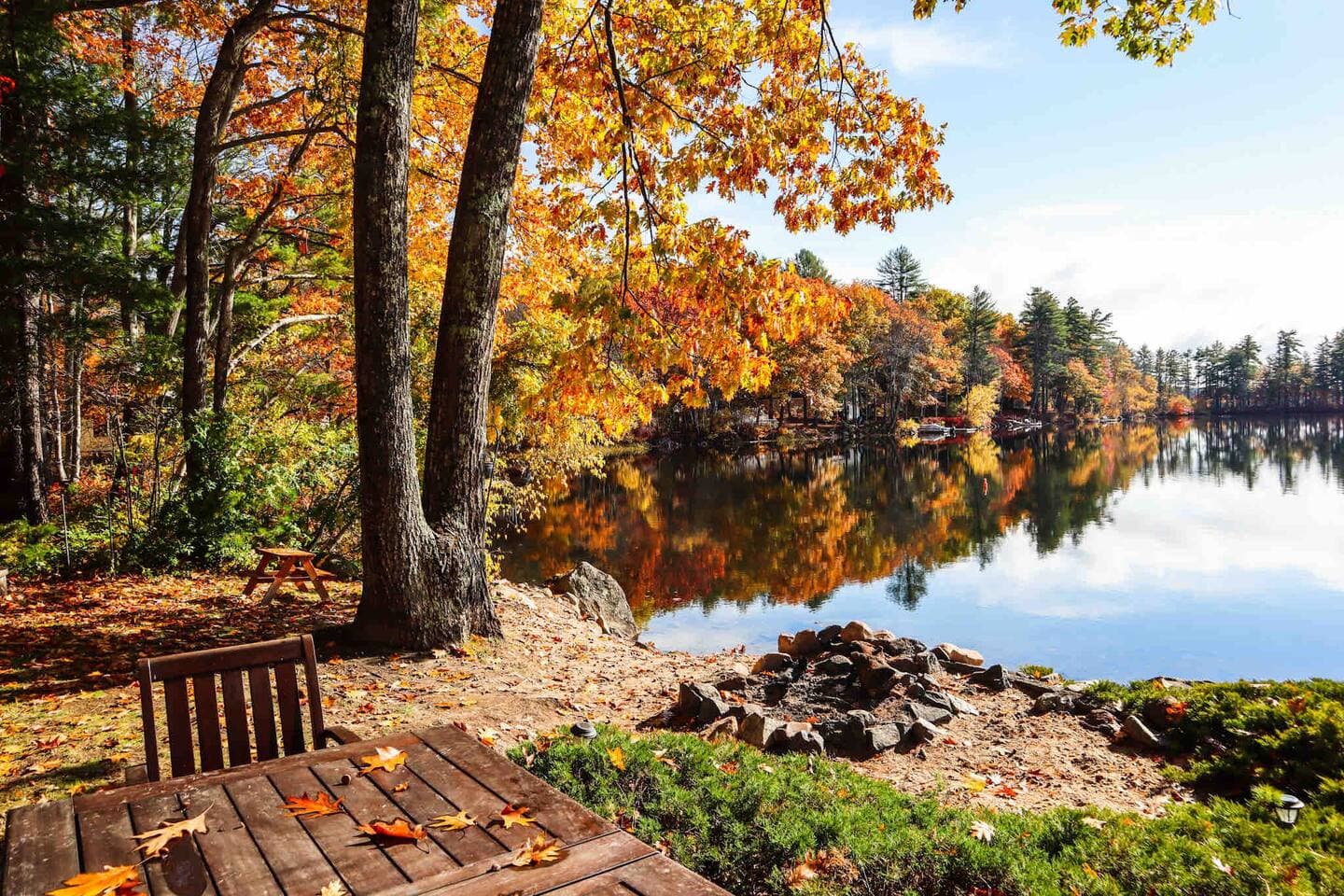 Fall foliage