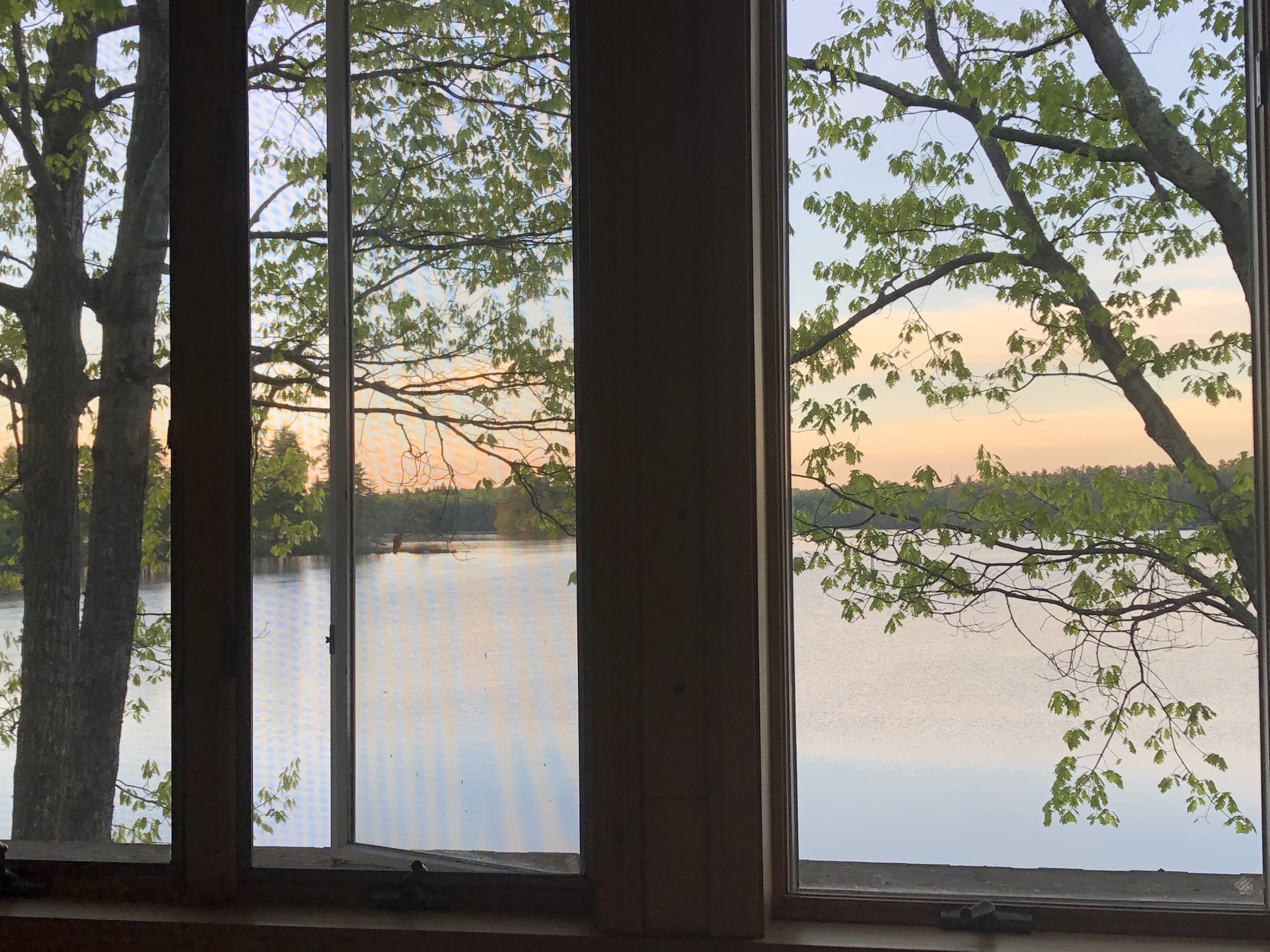 View from Master Bedroom
