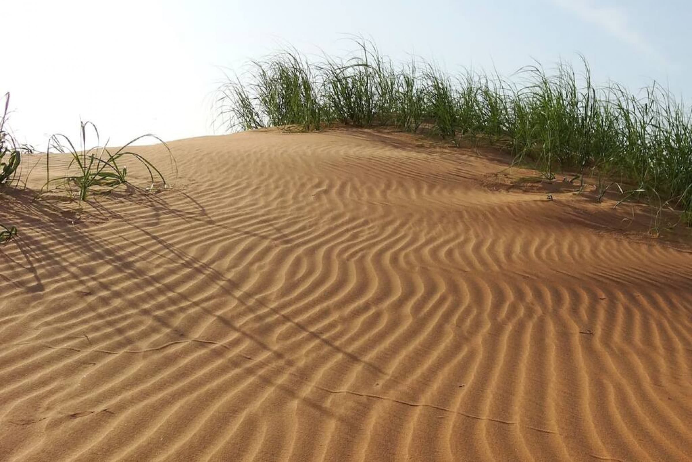 Dunes