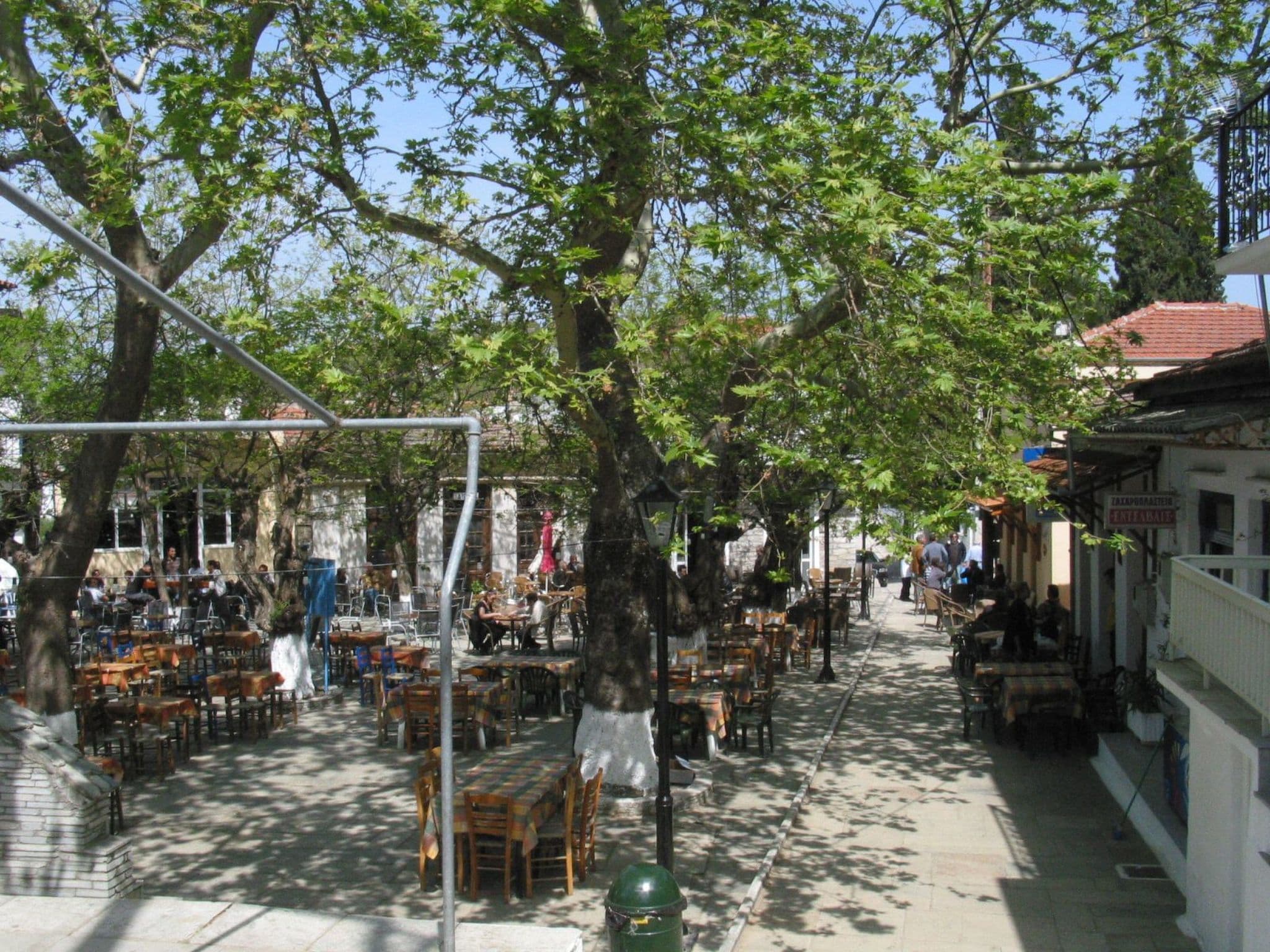 Terrace