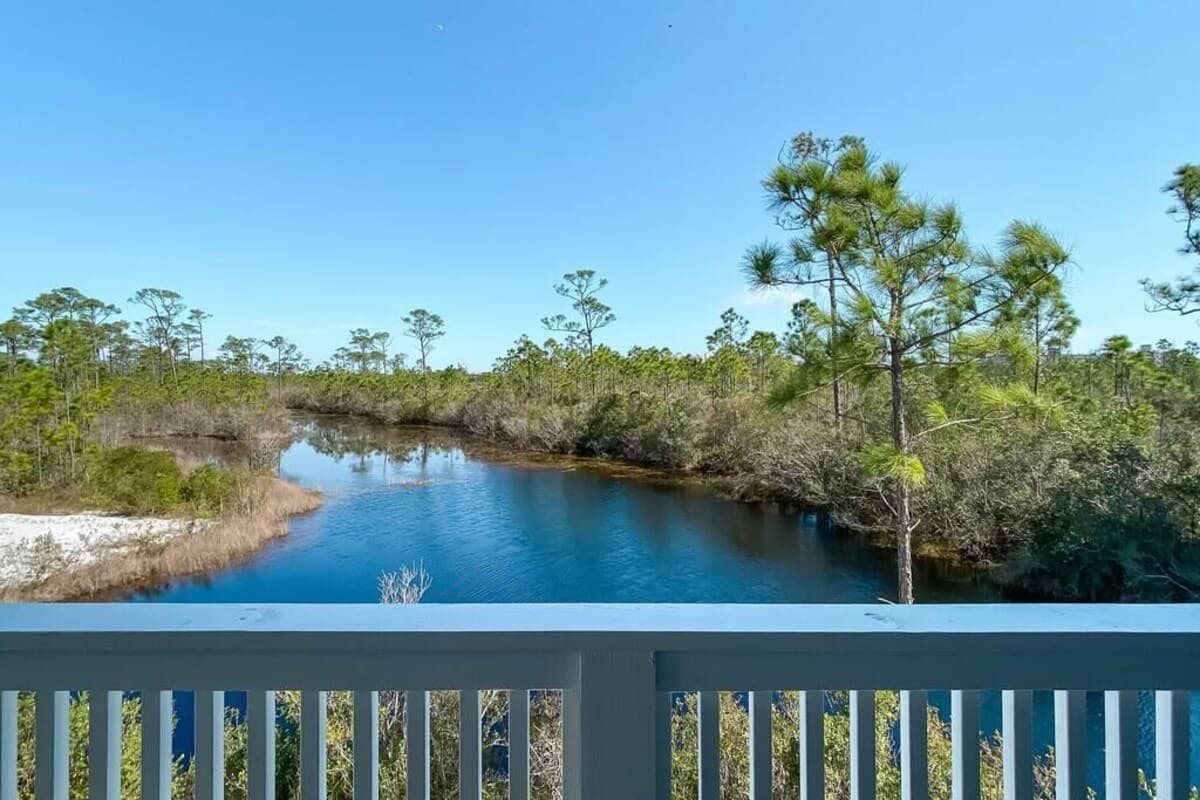 Wetlands View