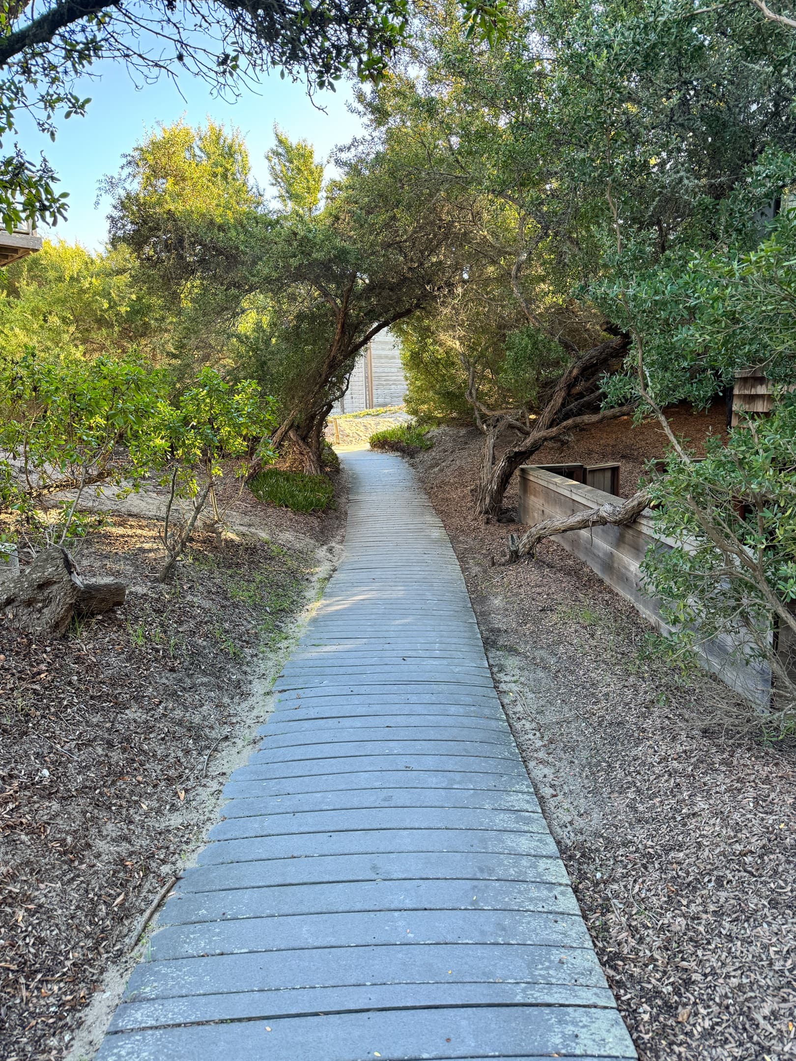 Steps to the Beach