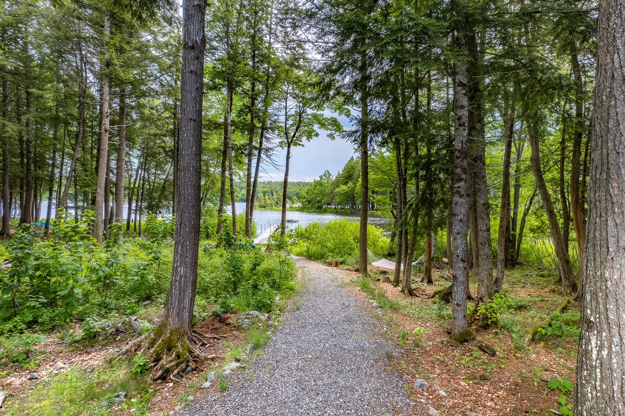 Path to the dock with hammock on the way.