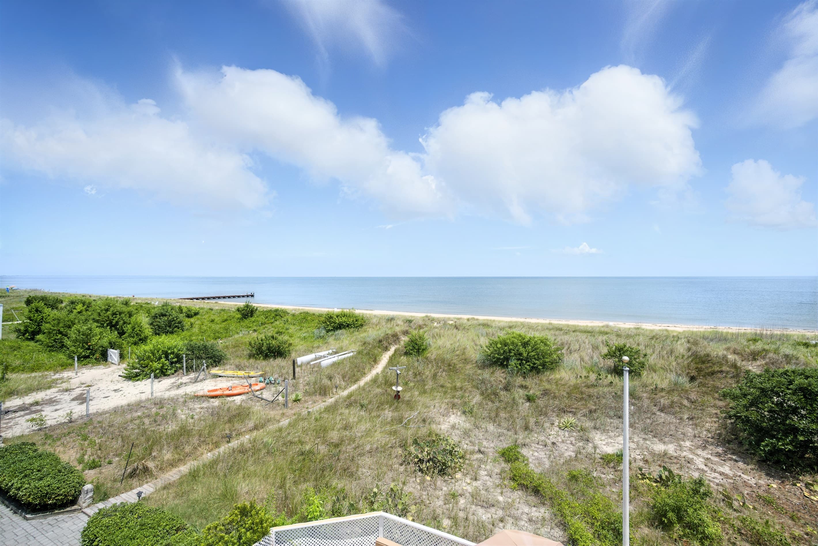 Keep a lookout for Dolphins during your stay!