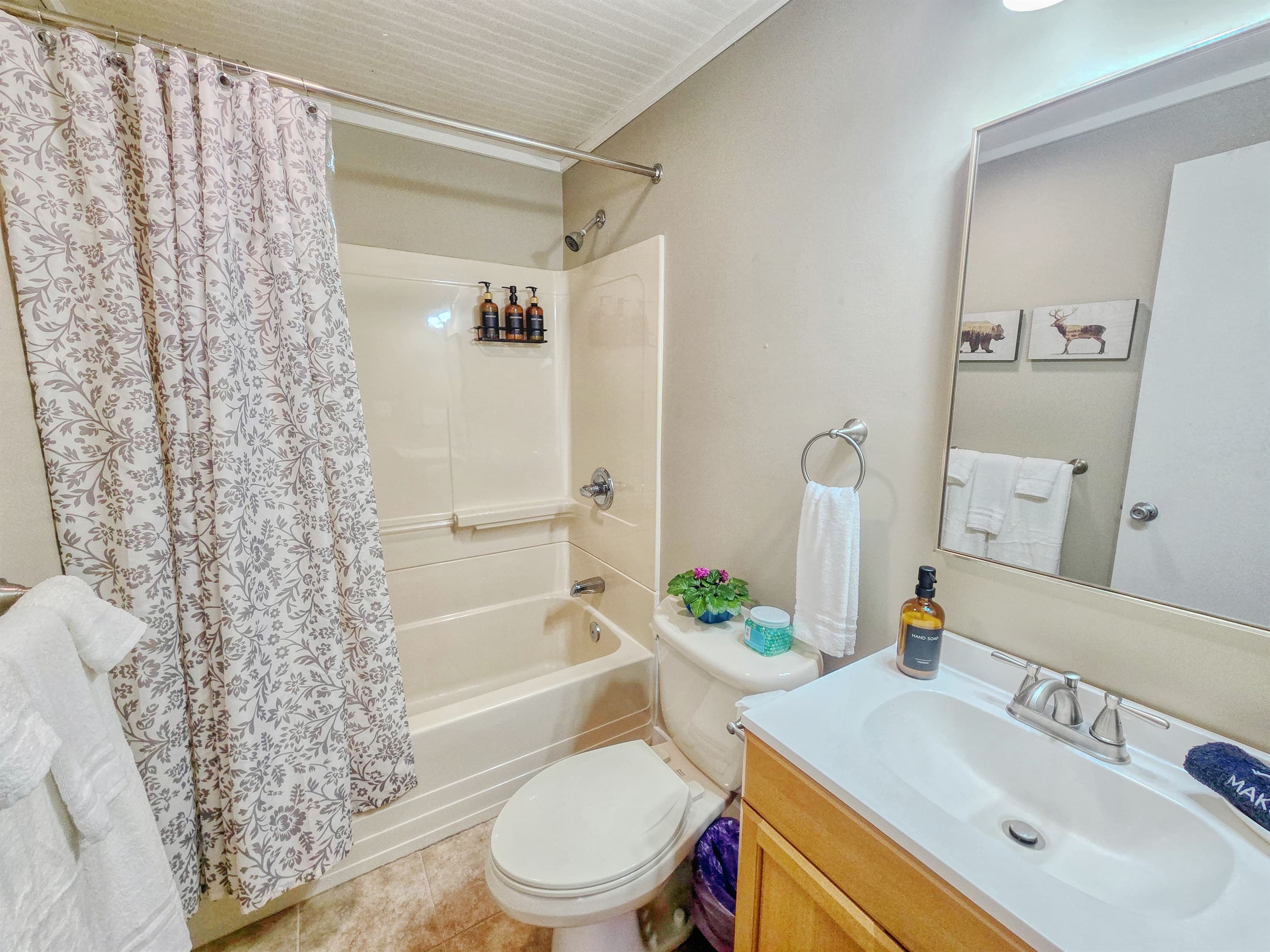 Bathroom 1 - Serhii Chalet Pocono