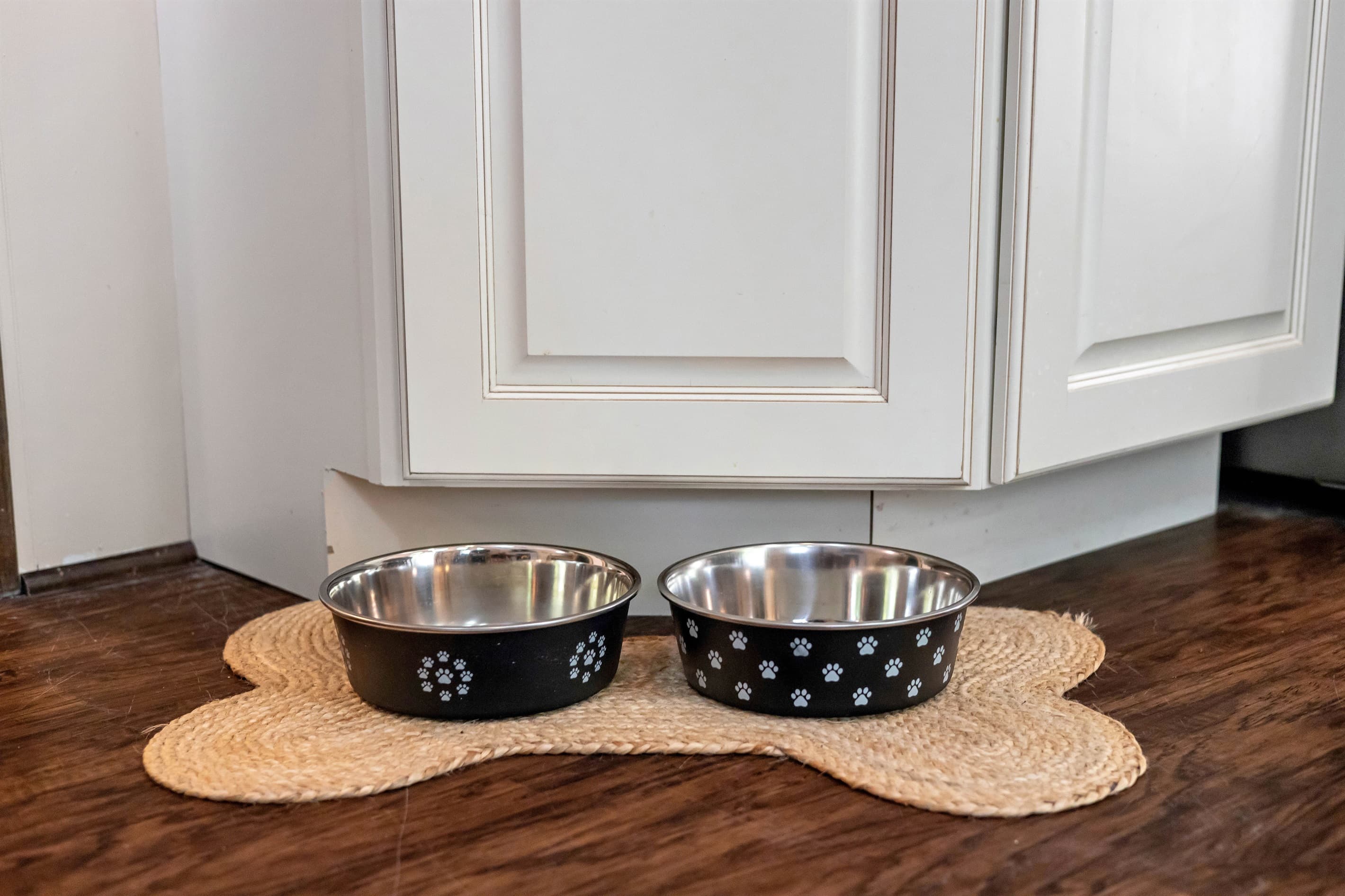 Dishes for our furry friends