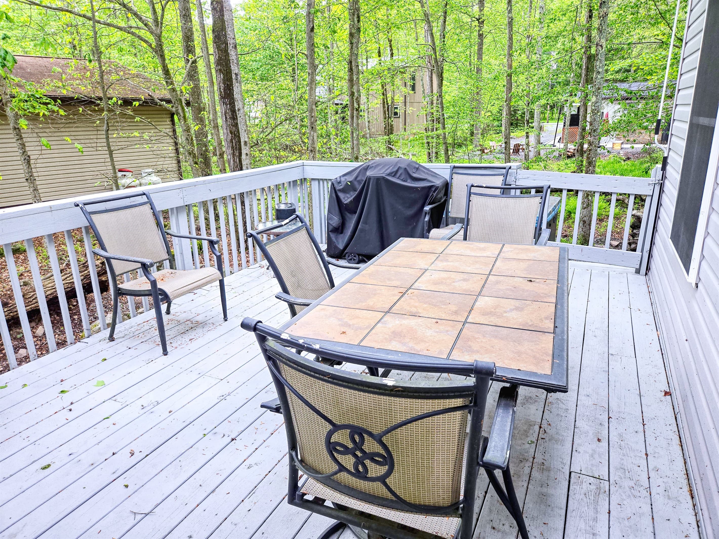 Side deck with dining area and BBQ grill