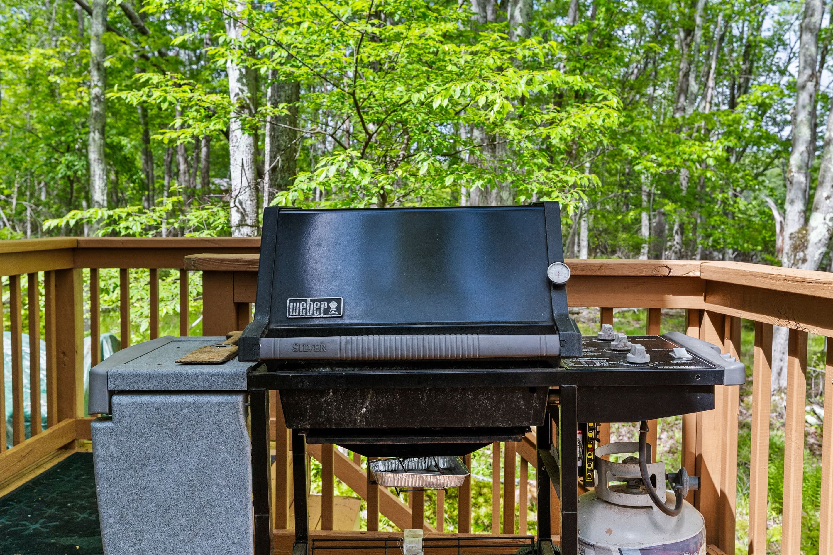 Show off your BBQ skills