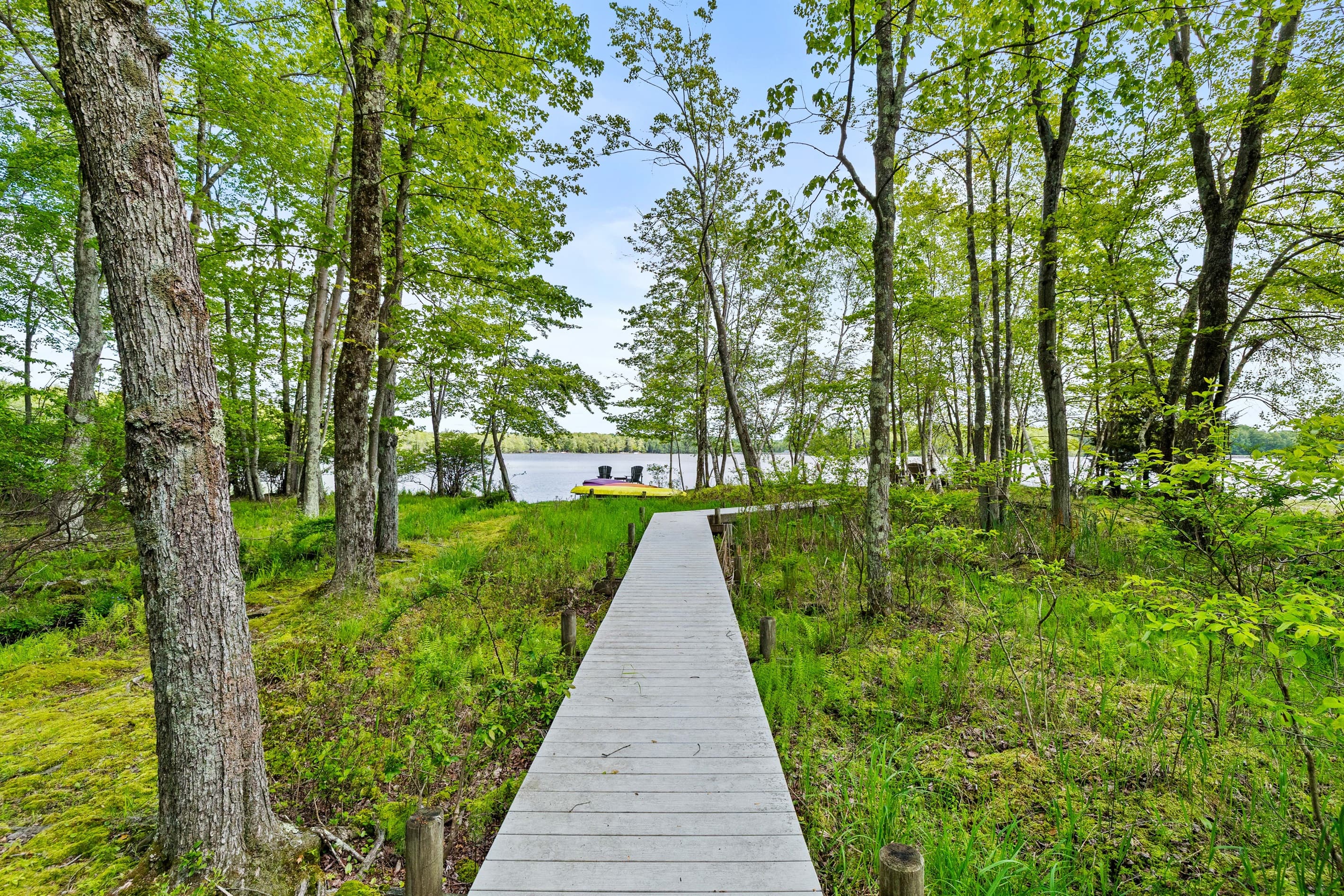 Path to dock and firepit