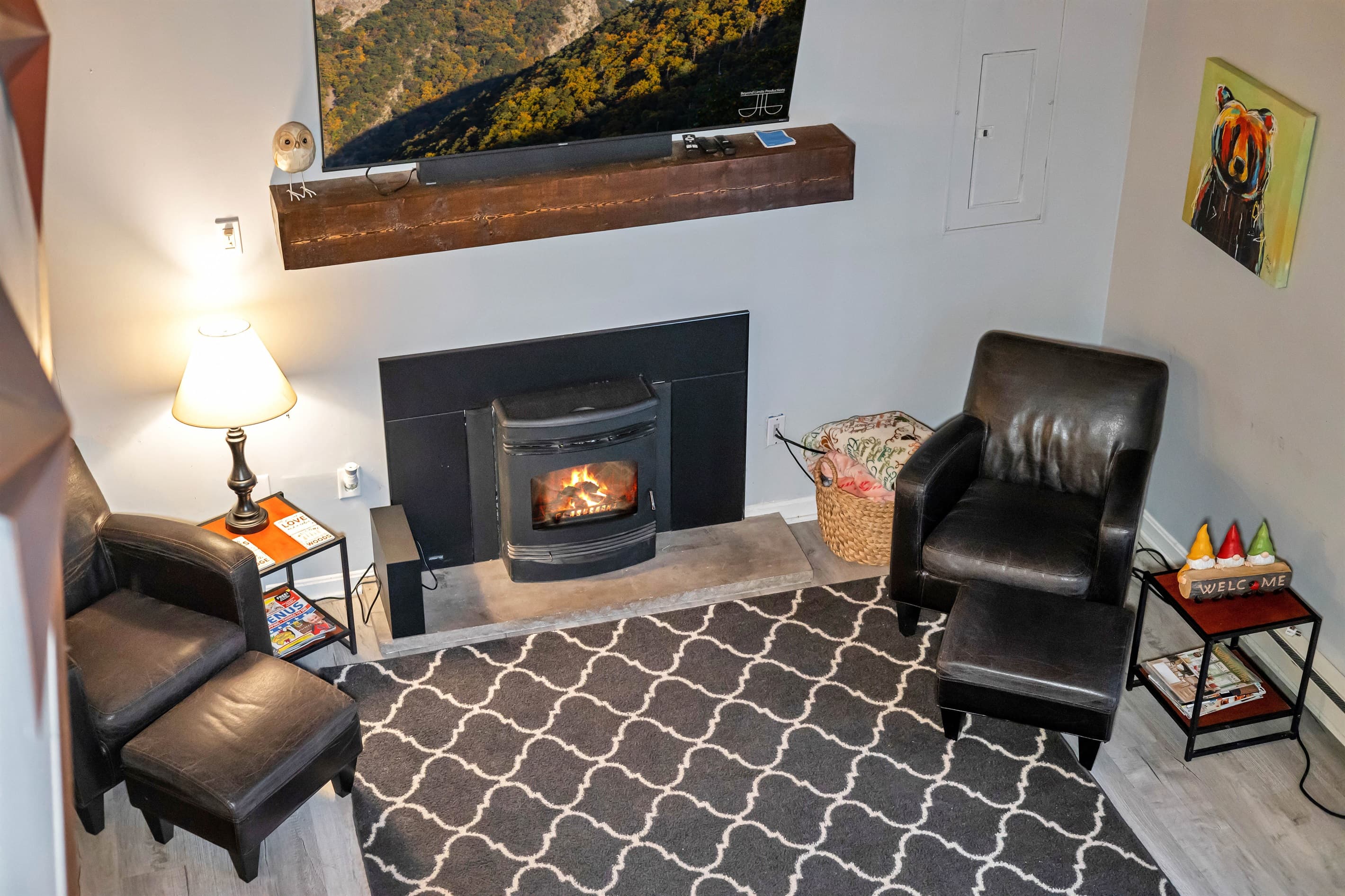 Living room featuring a large TV, pellet fireplace, sectional couch, and a couple of chairs, offering a cozy and comfortable space to relax and unwind | Serhii Vacation Rentals