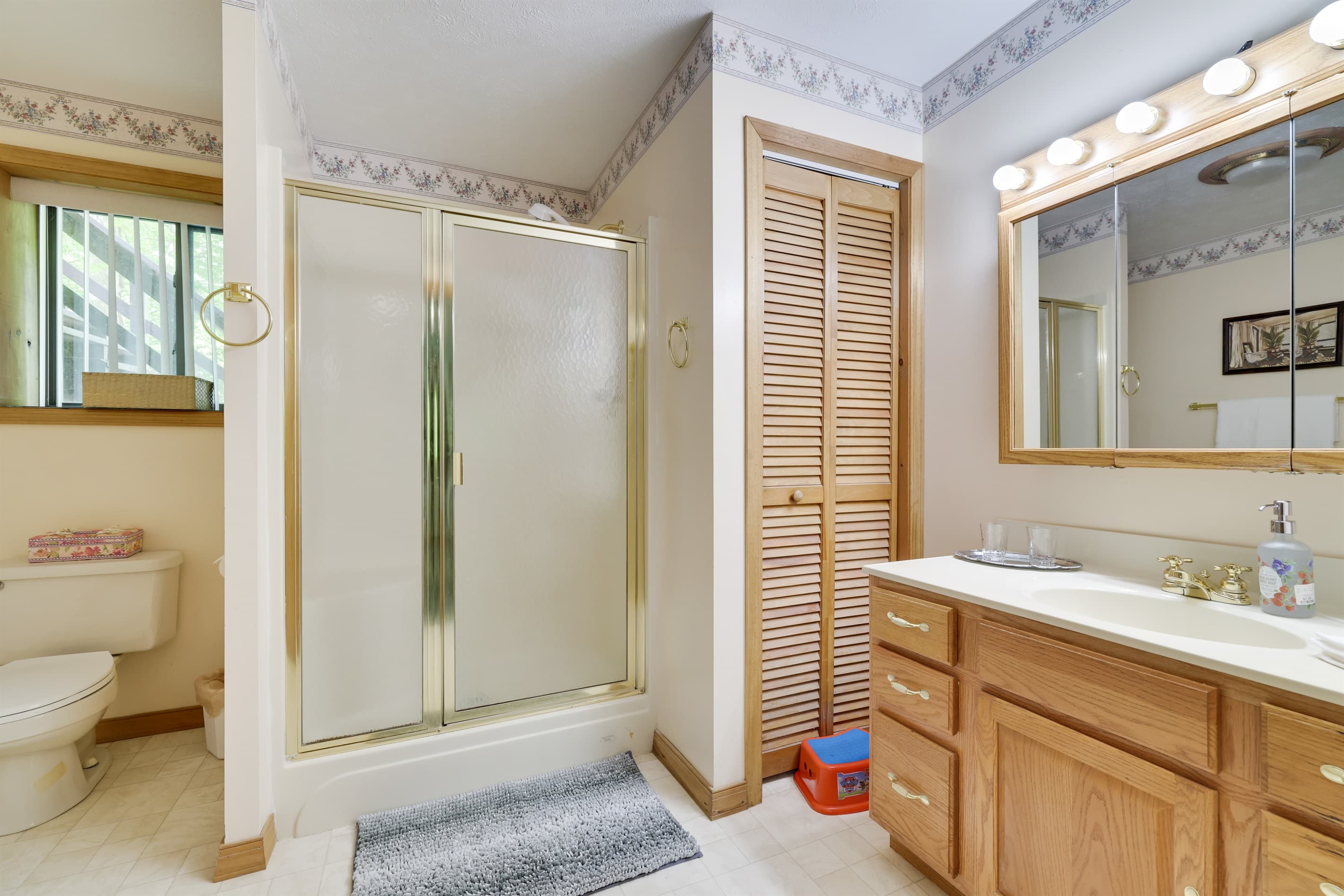 Lower level bathroom