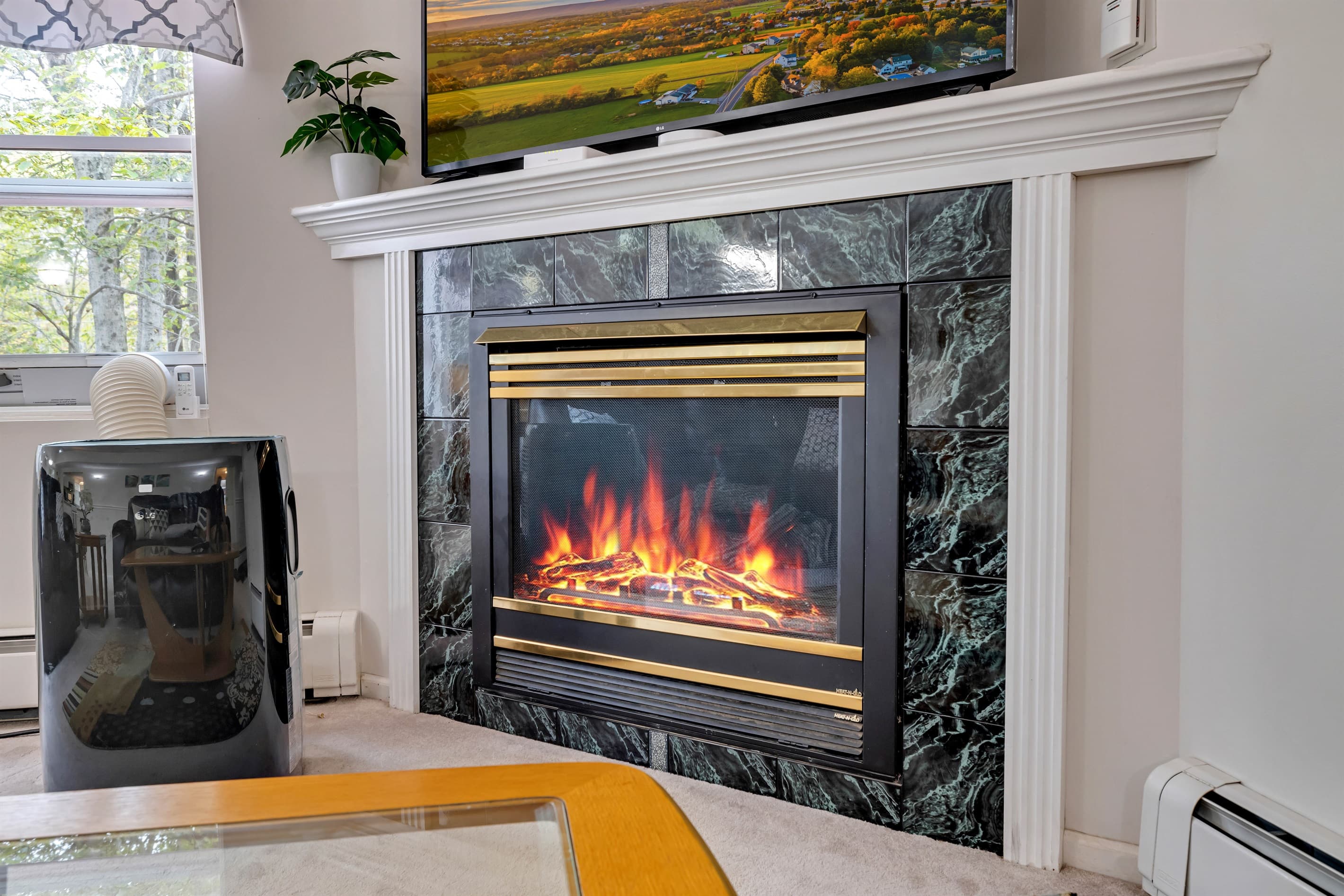 Propane fireplace in living room
