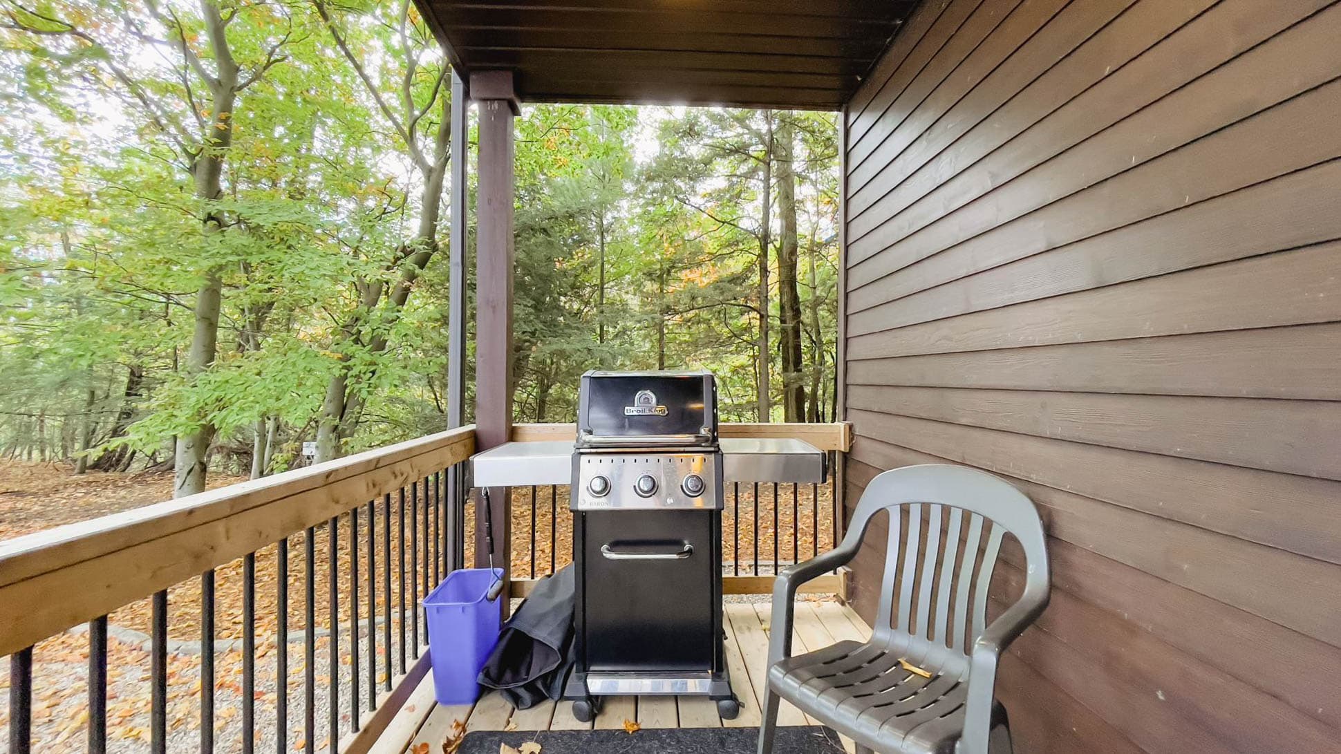 Propane BBQ and there is a charcoal Weber BBQ too