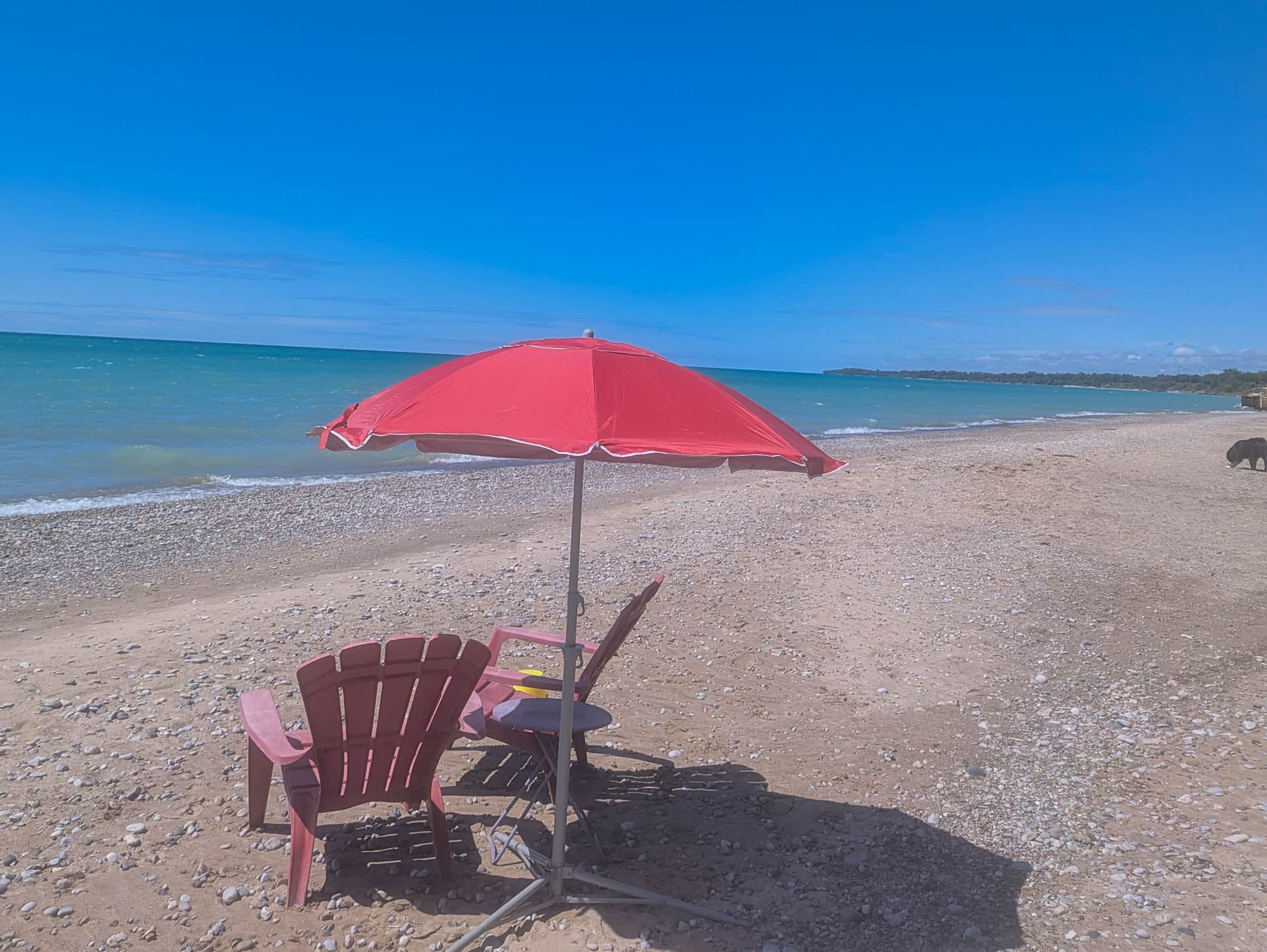 Love a good beach day!