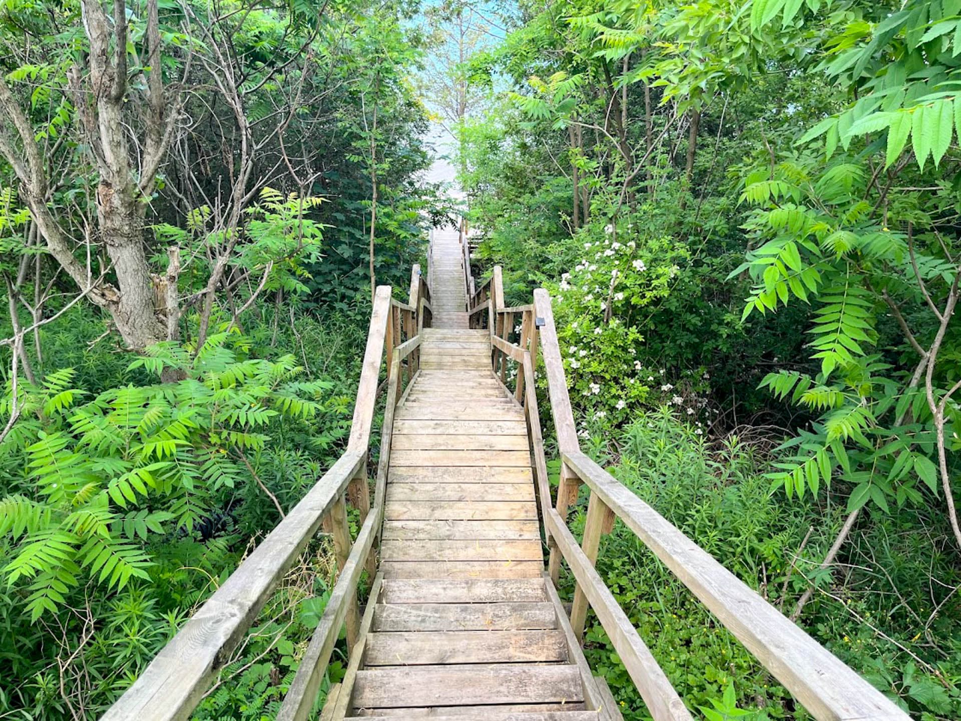 Take a walk through nature