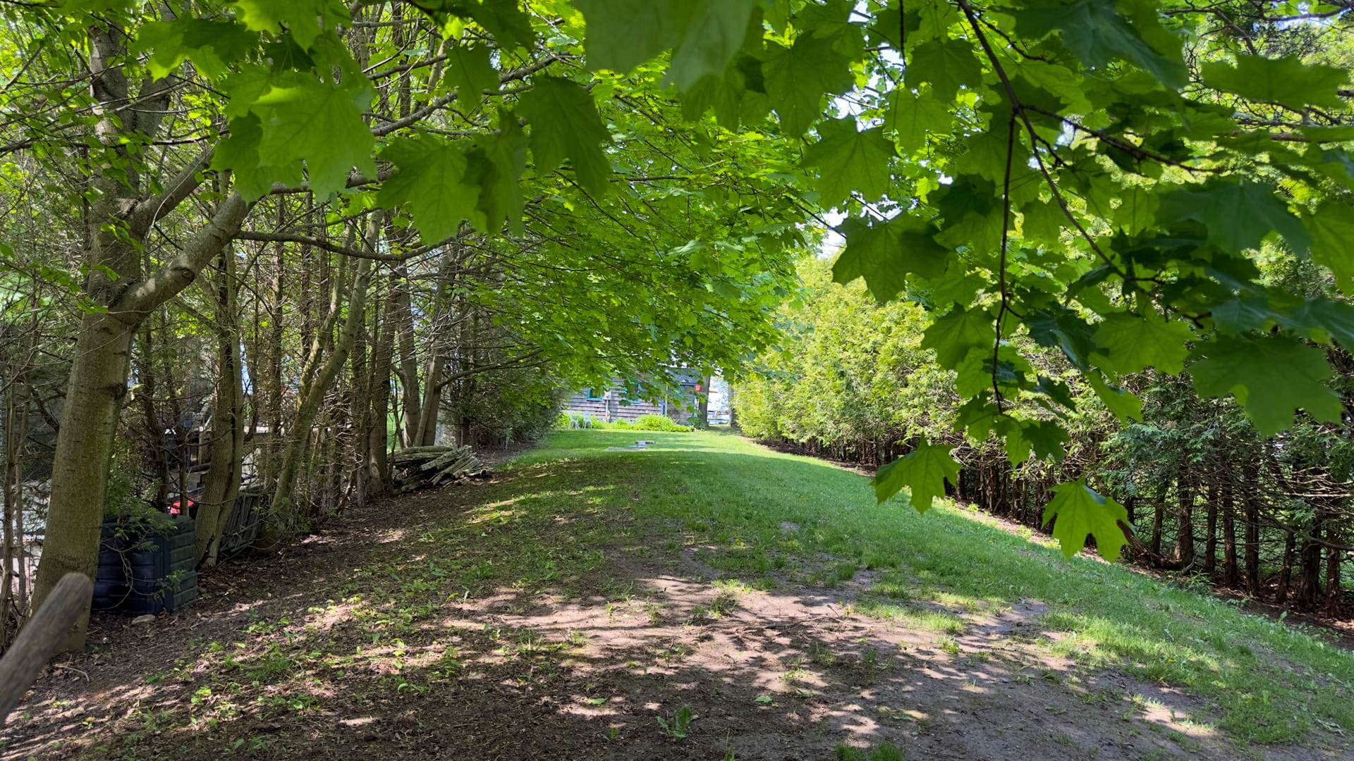 Huge yard out front