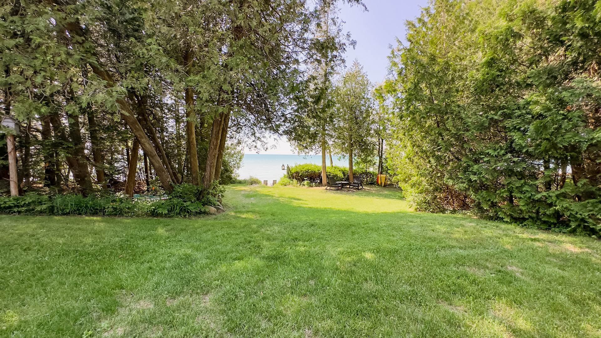 Large yard for games
