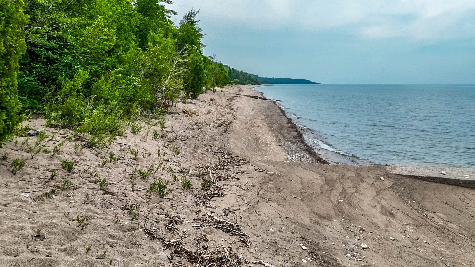 Long walks on the beach