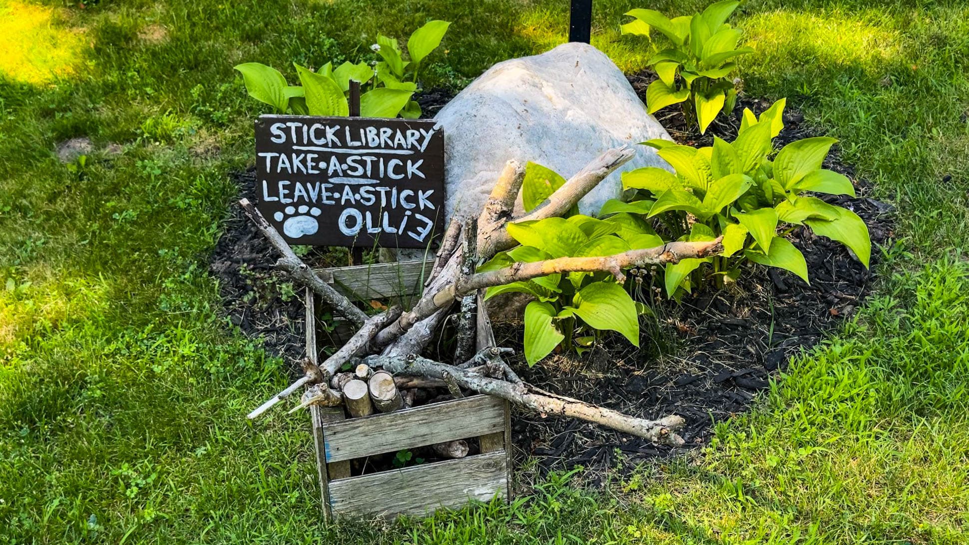 A library where every stick is a bestseller