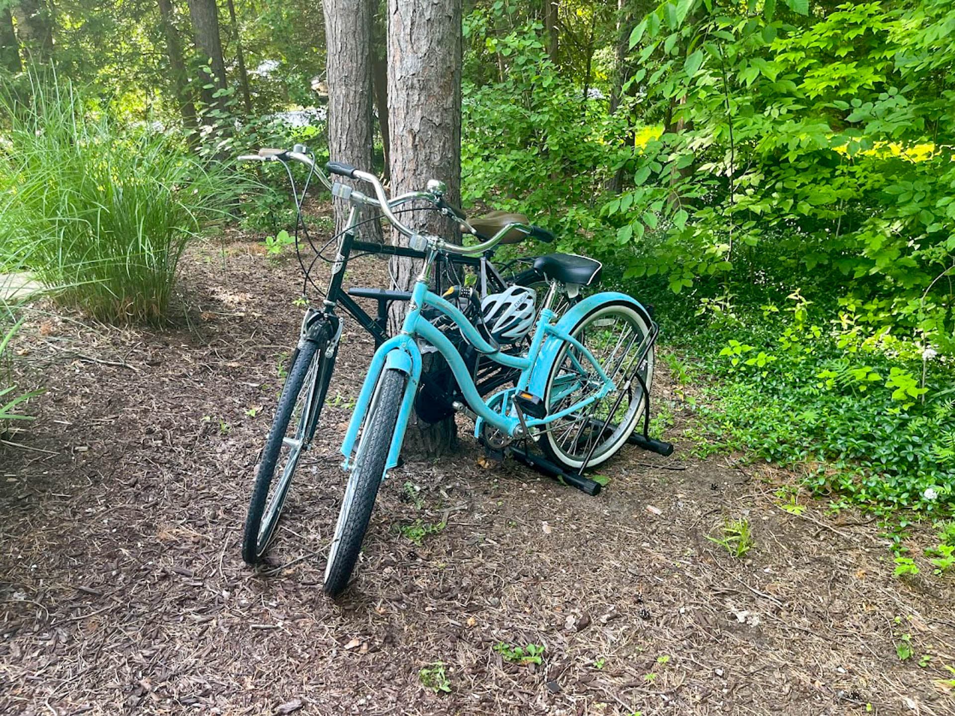 2 Adult Bikes