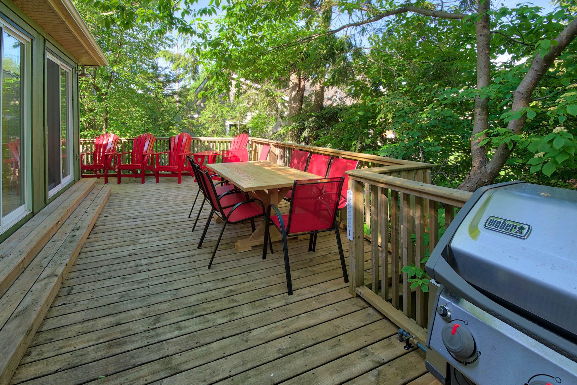 And dine outside basking in the filtered sunlight