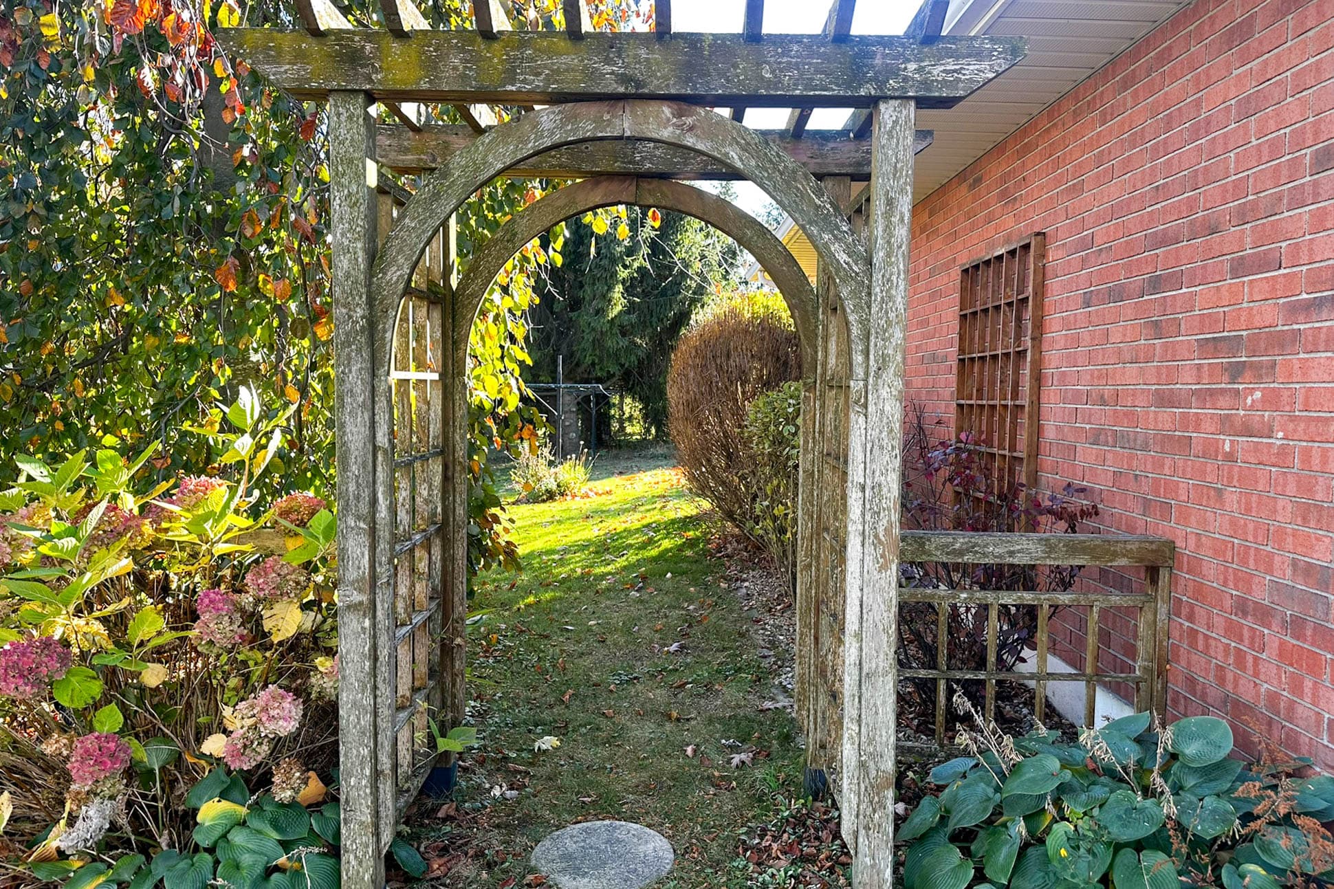 Enter into your backyard oasis