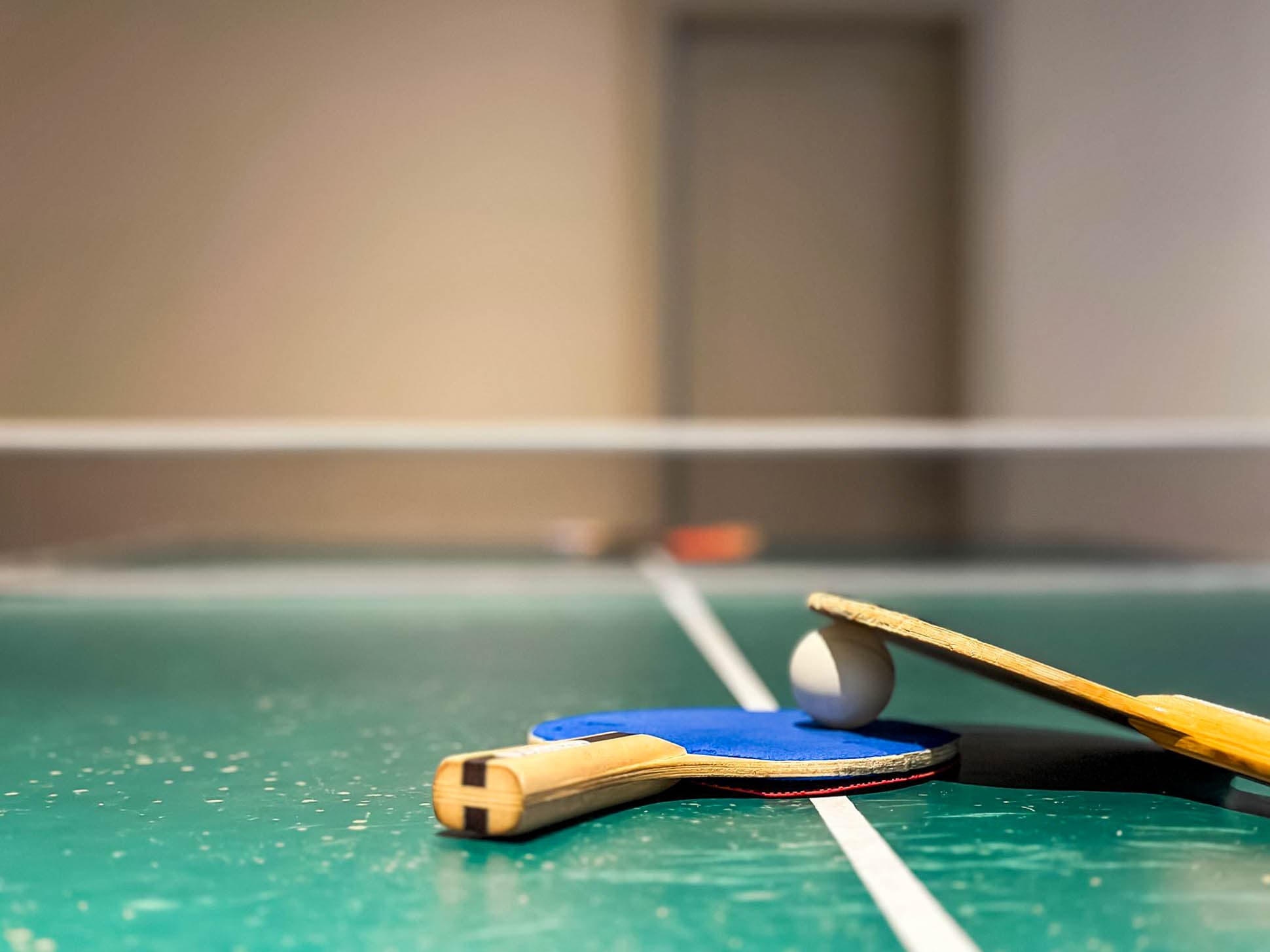 Hit the paddles and show off your ping pong prowess