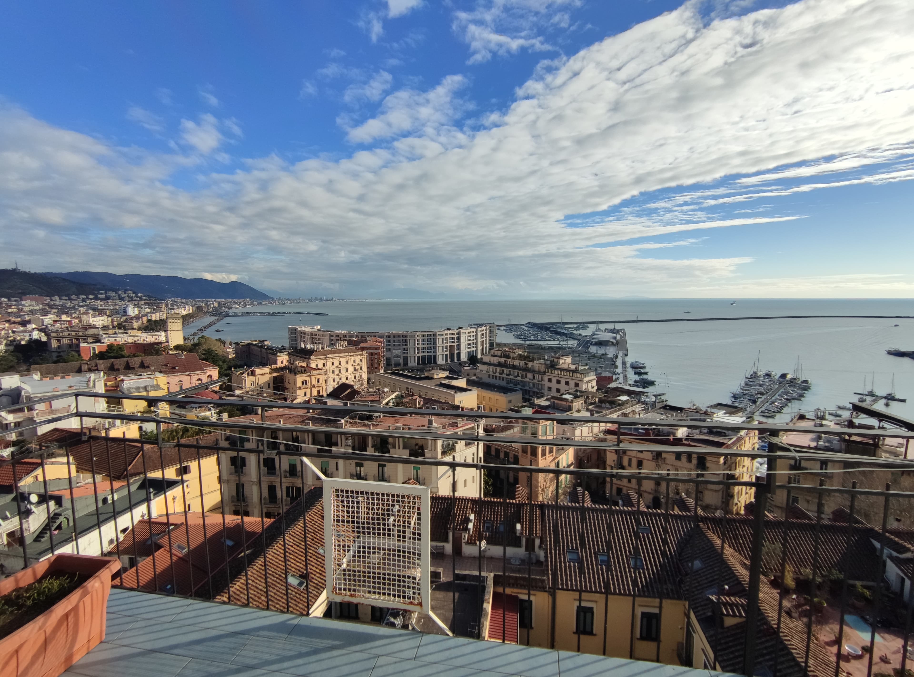 view of the city and the gulf 