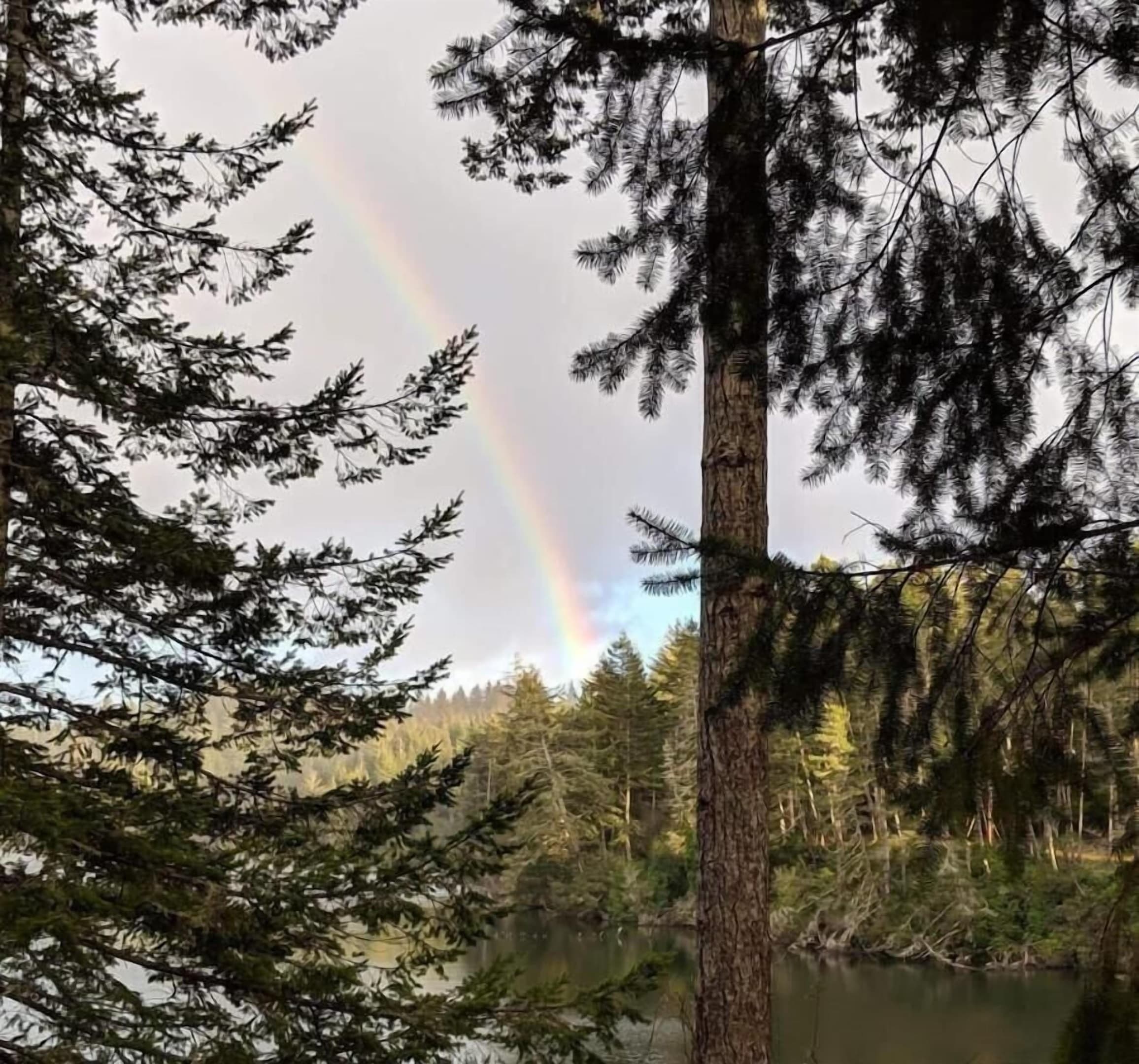 rainbow