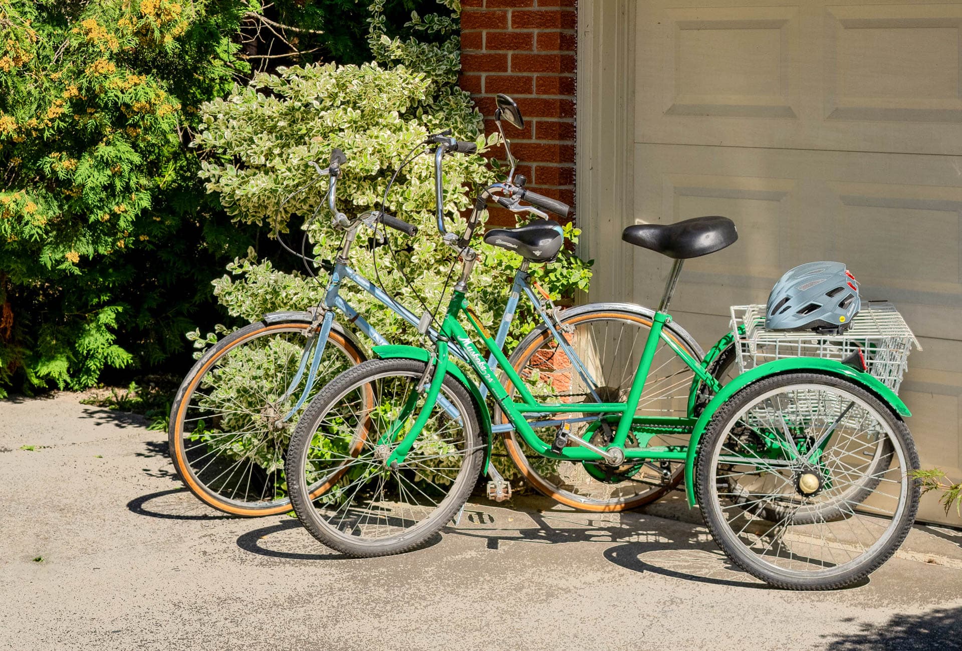5 Adult Bikes - So fun!