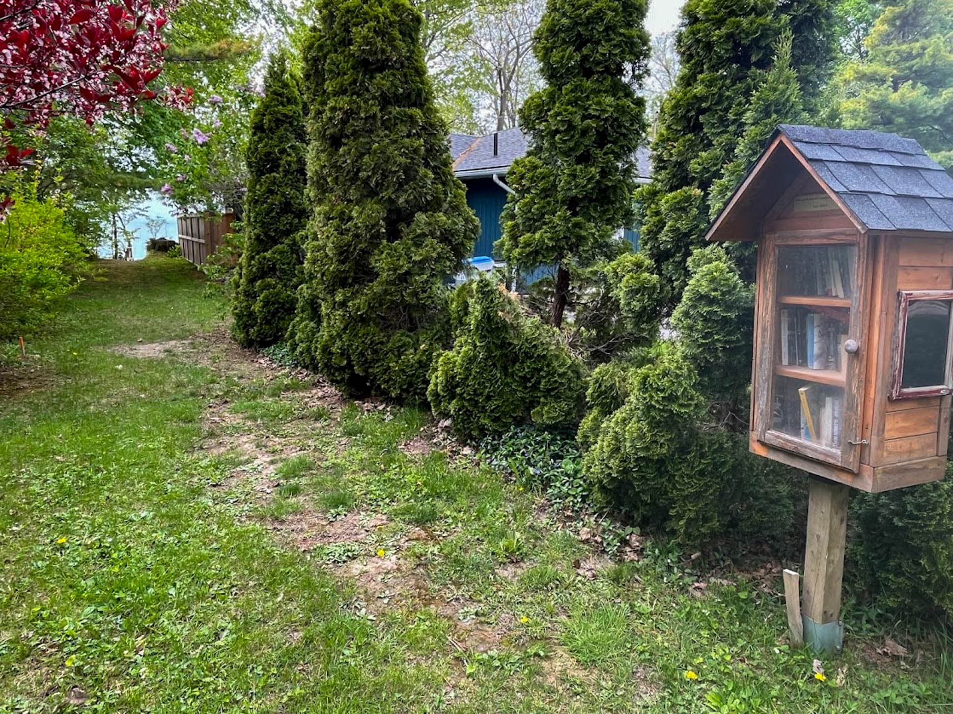 Take a left at the mini library for closest lake access