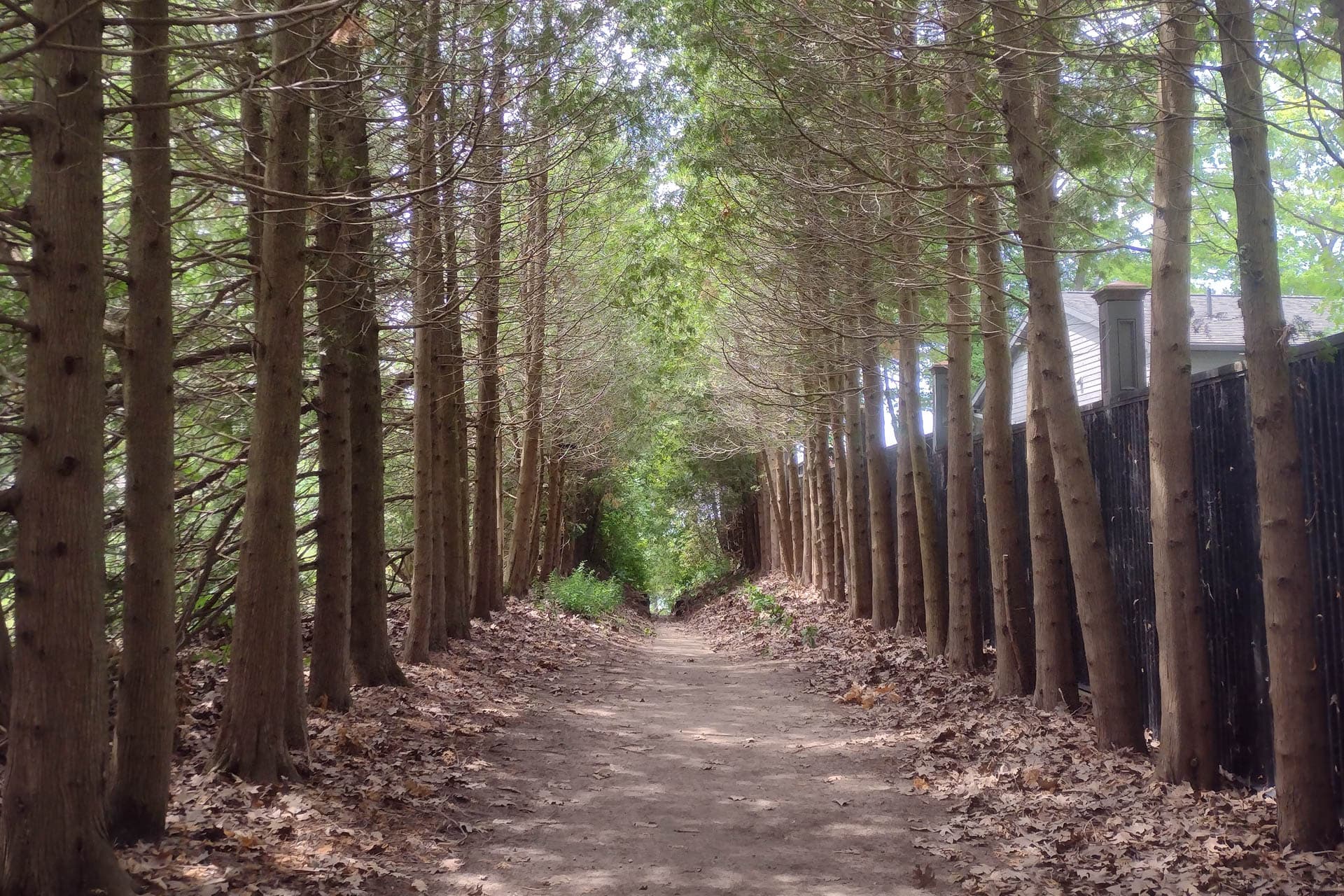 It's a nice walk