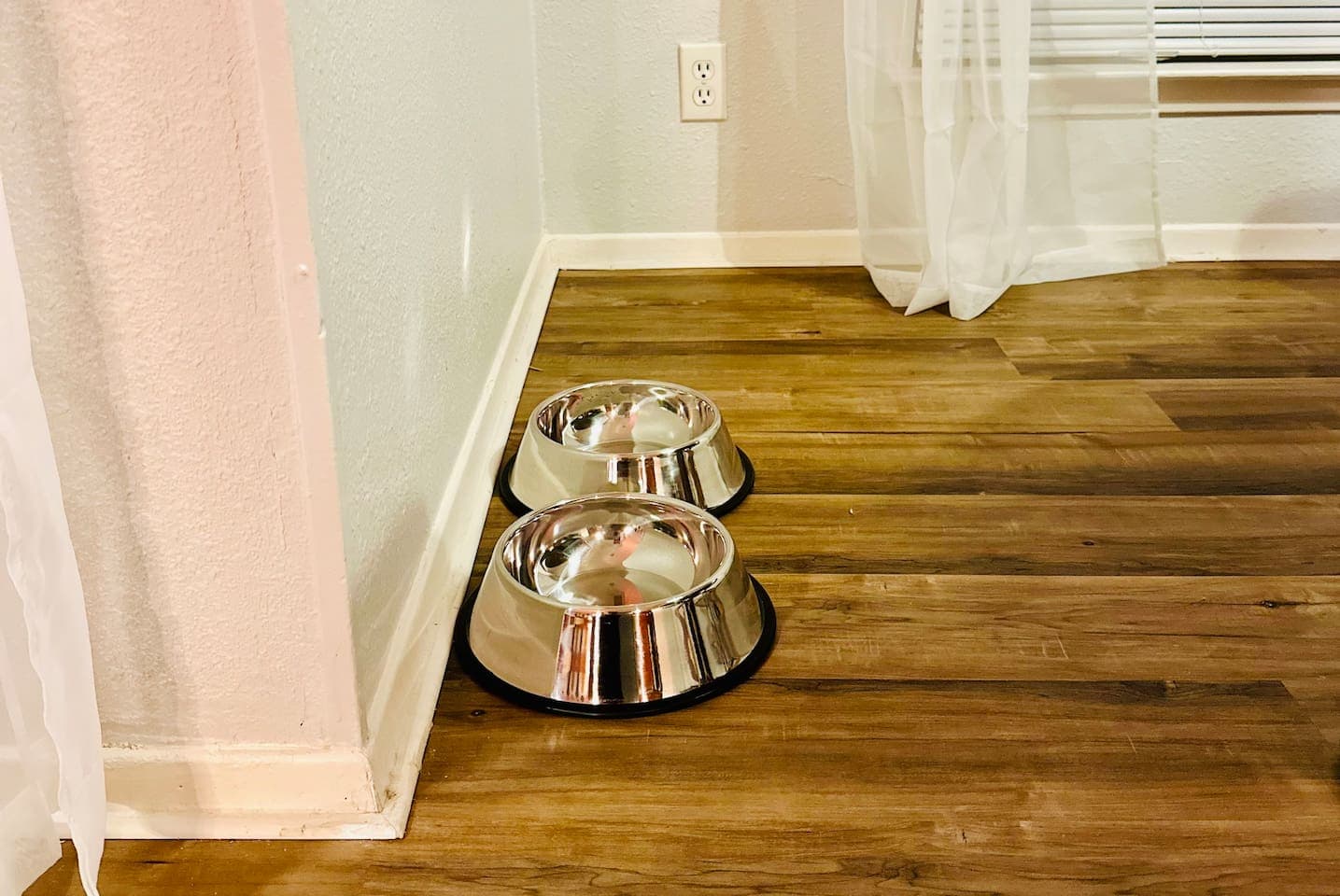 Pet bowls, perfect for your furry friends to enjoy their meal.