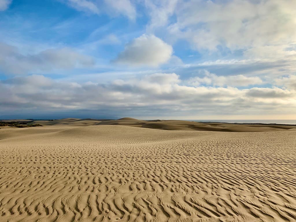 Oceano Dunes