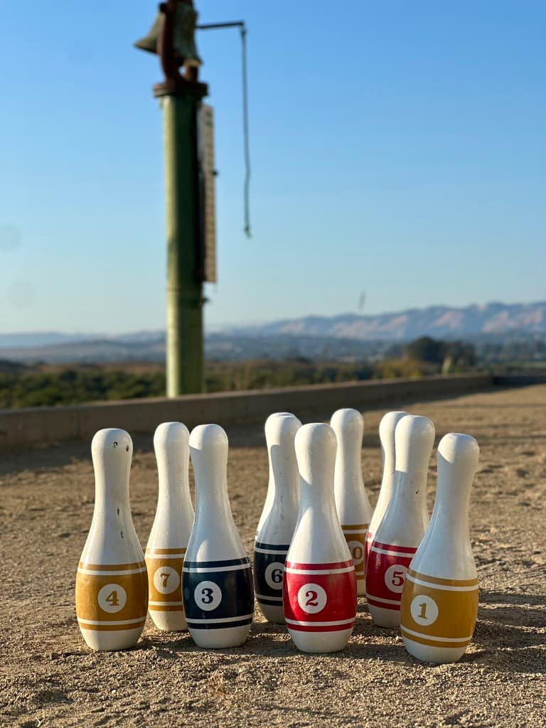 Engage your group in a bowling match
