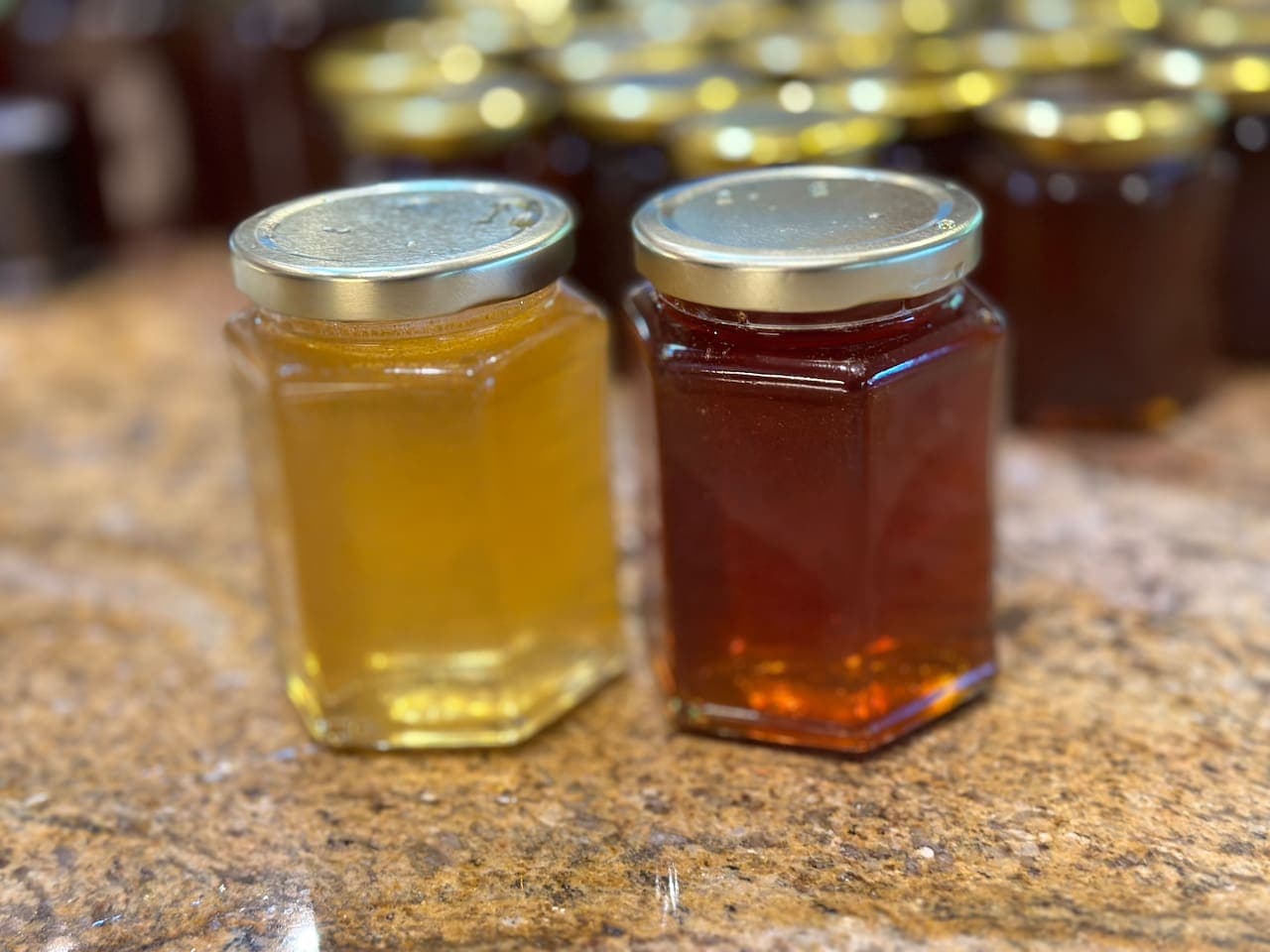 Dune Lakes has its own apiary miles from the cottage on the 1200 acres and has Dune Lakes Coastal Gold pure honey. Fun Fact: Each hive has a distinct flavor and color of honey as seen in the photo above.  Apiary ToursTest them for yourself!