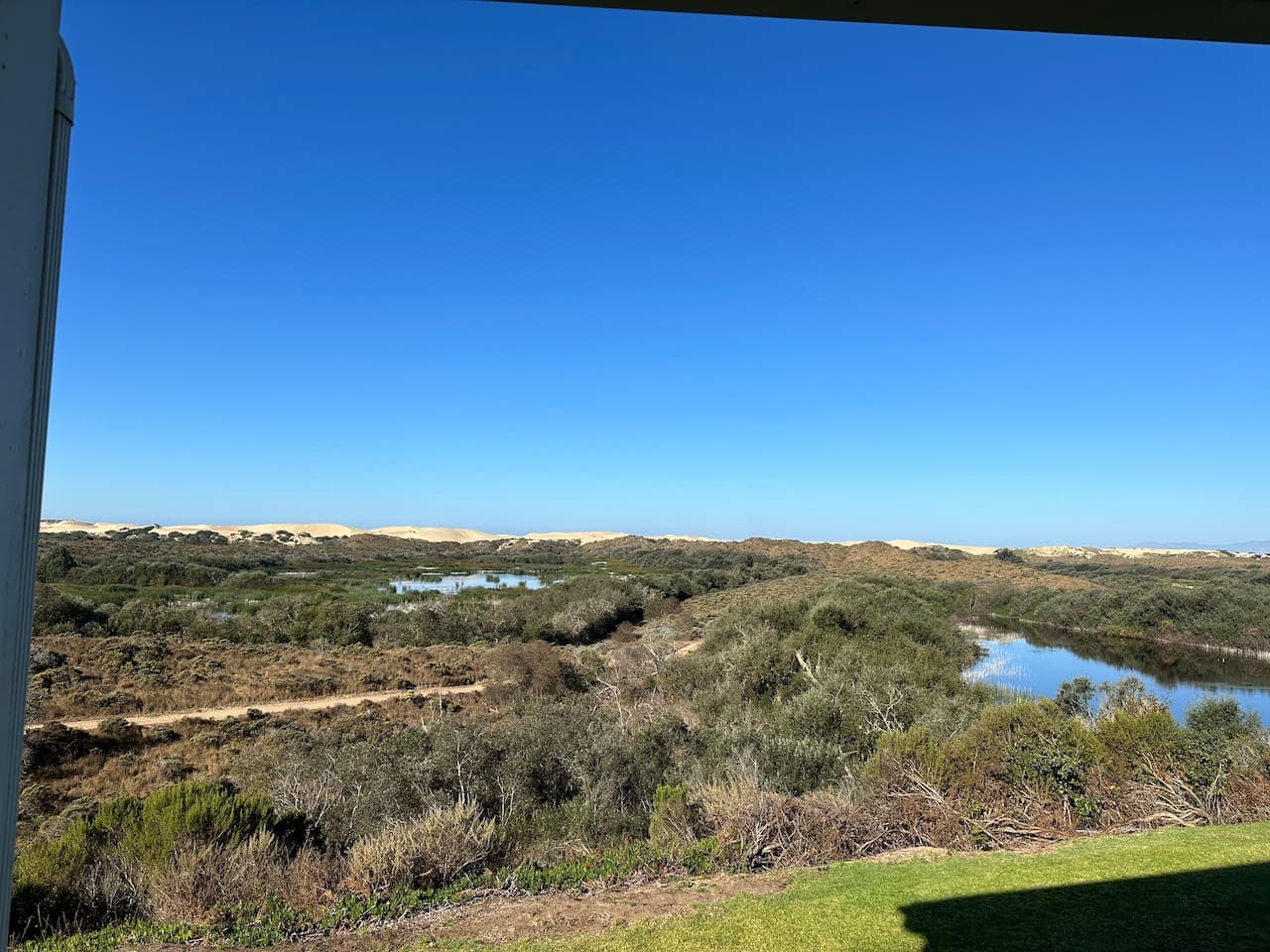 View from the sunroom porch!
