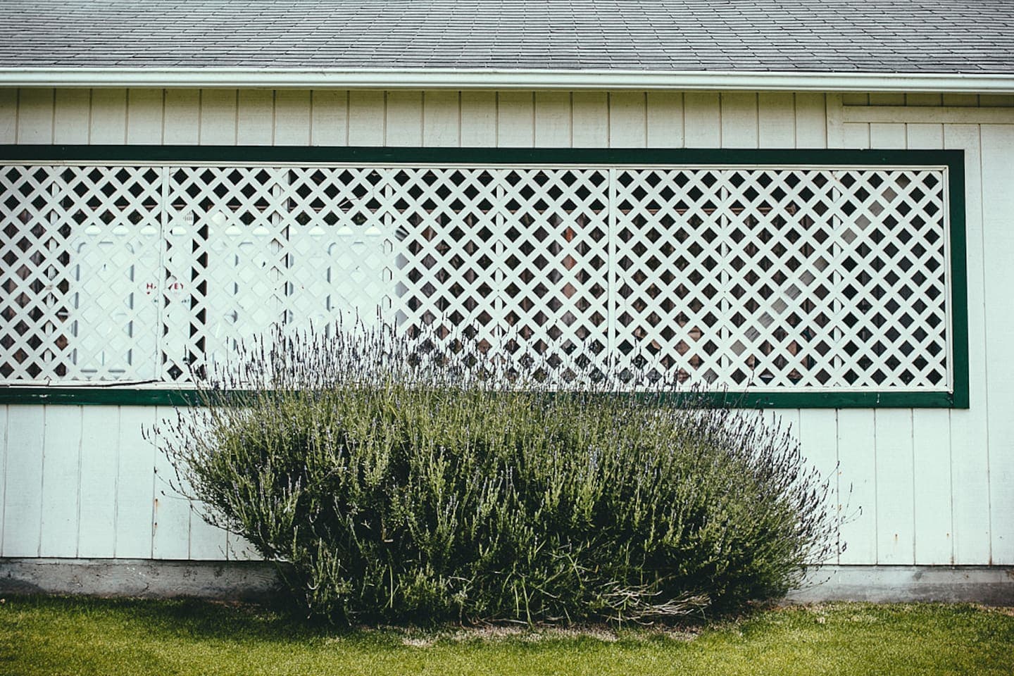 Included in your stay is complimentary parking for up to 4 guest vehicles in our covered carport.  