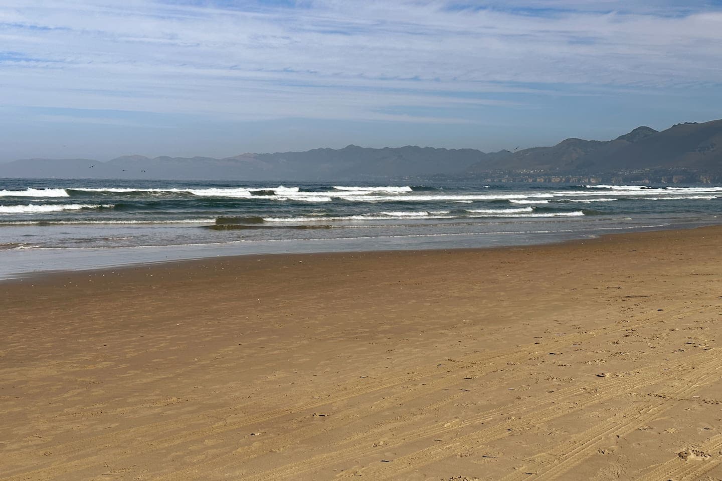 Oceano Dunes Beach, a great place to get your steps in, build sandcastles and collect shells or play in the surf without being overrun with tourists.  Favorite of the locals. Avoid the crowds at this local favorite beach!!