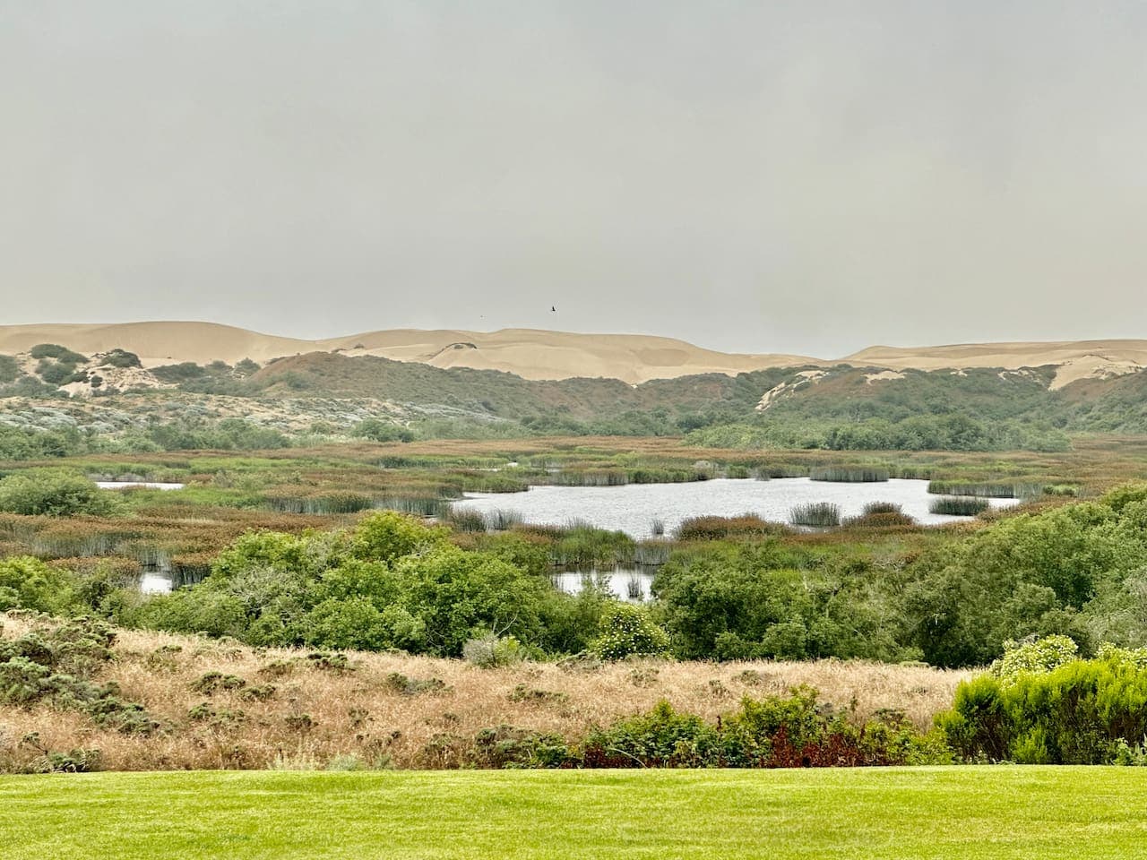 Lake and dune views from the cottage and lawns make every get together special. 