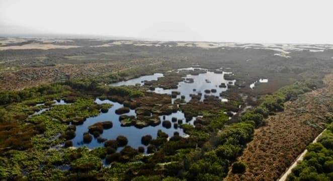 Lake and Dune views are spectacular and breathtaking.