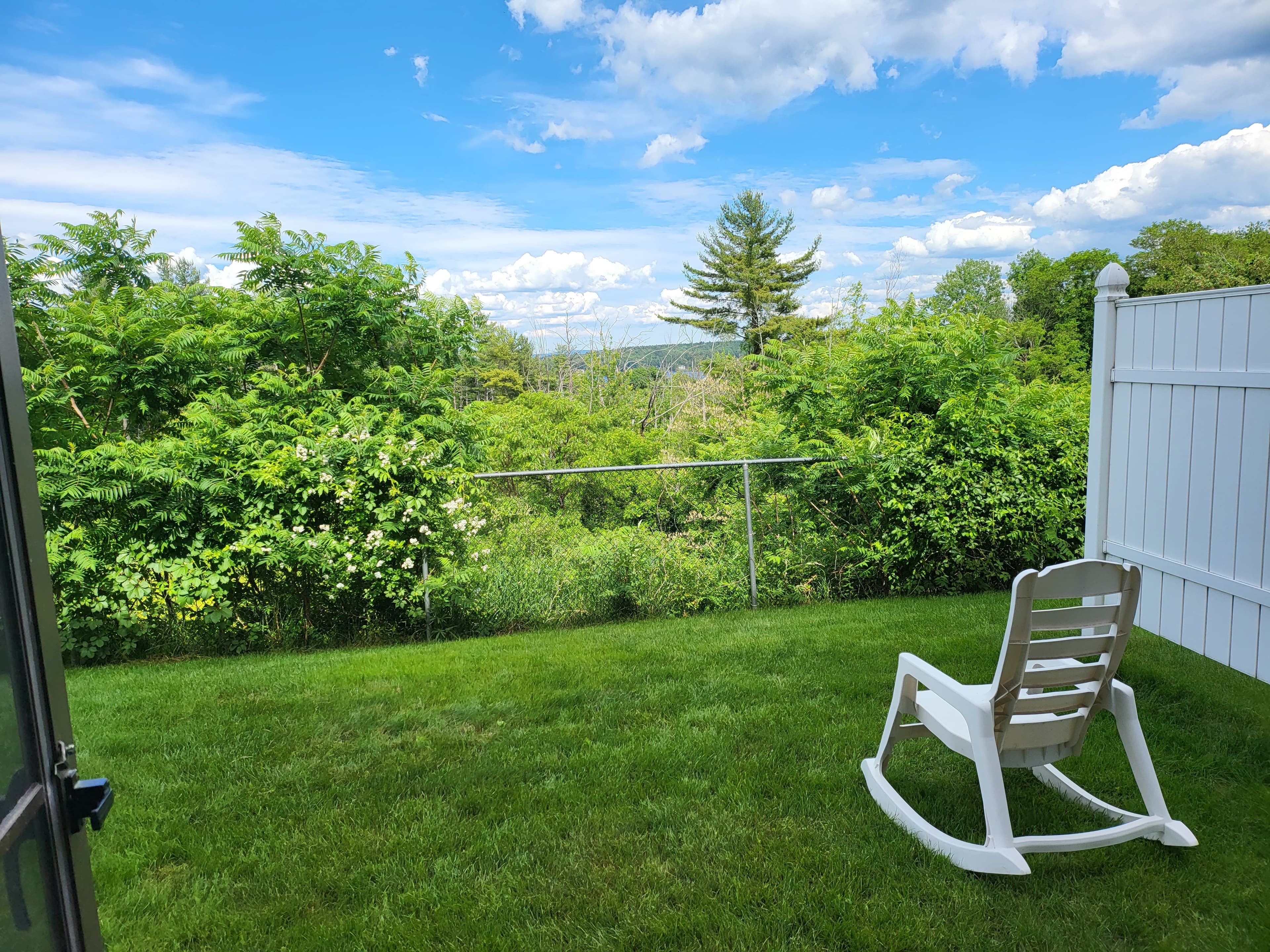 Back yard