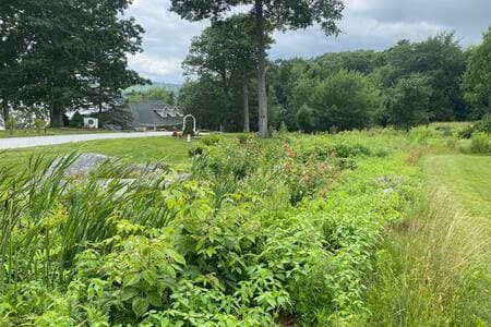 Surrounded by nature 