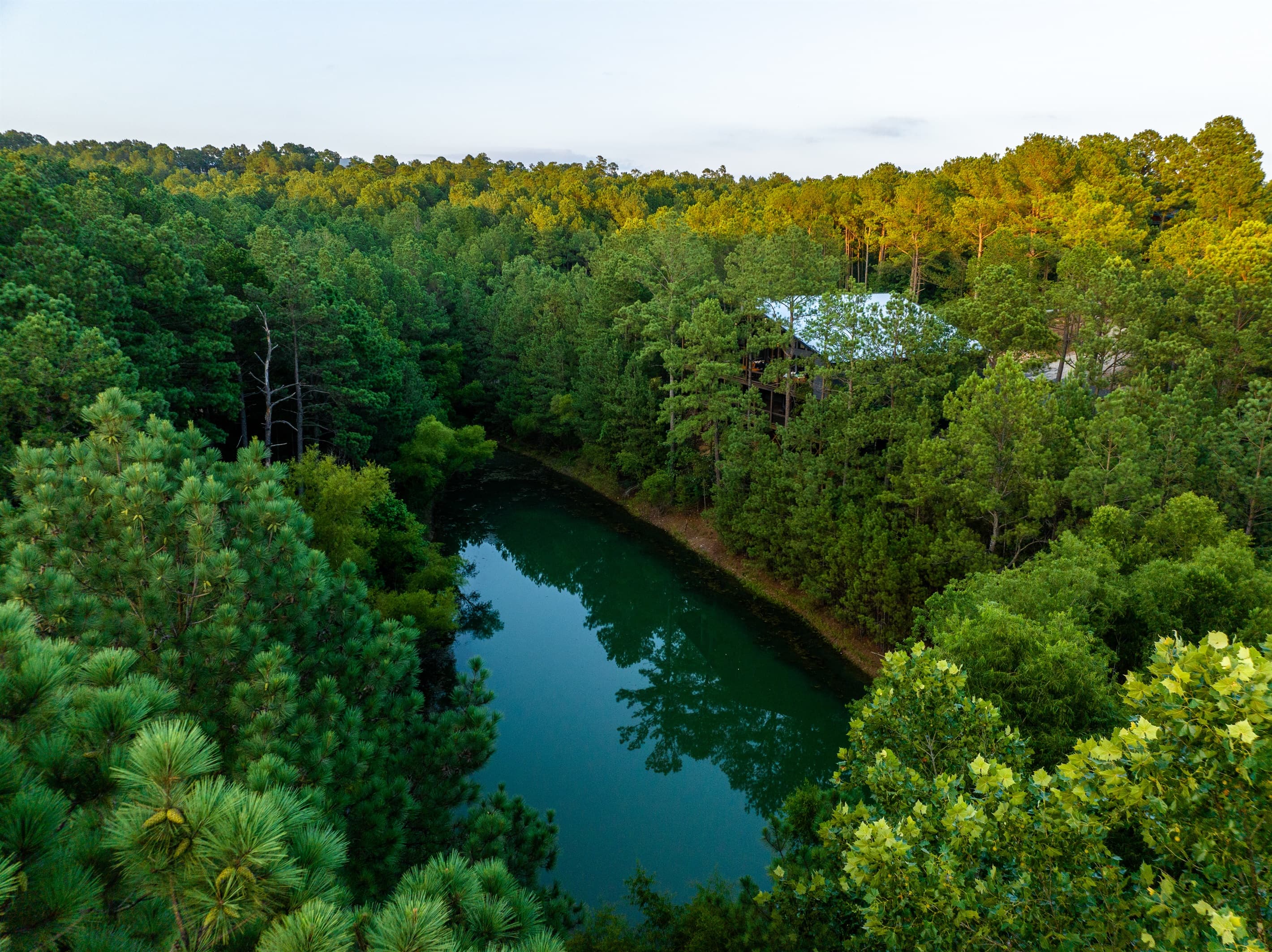 Fishing Pond