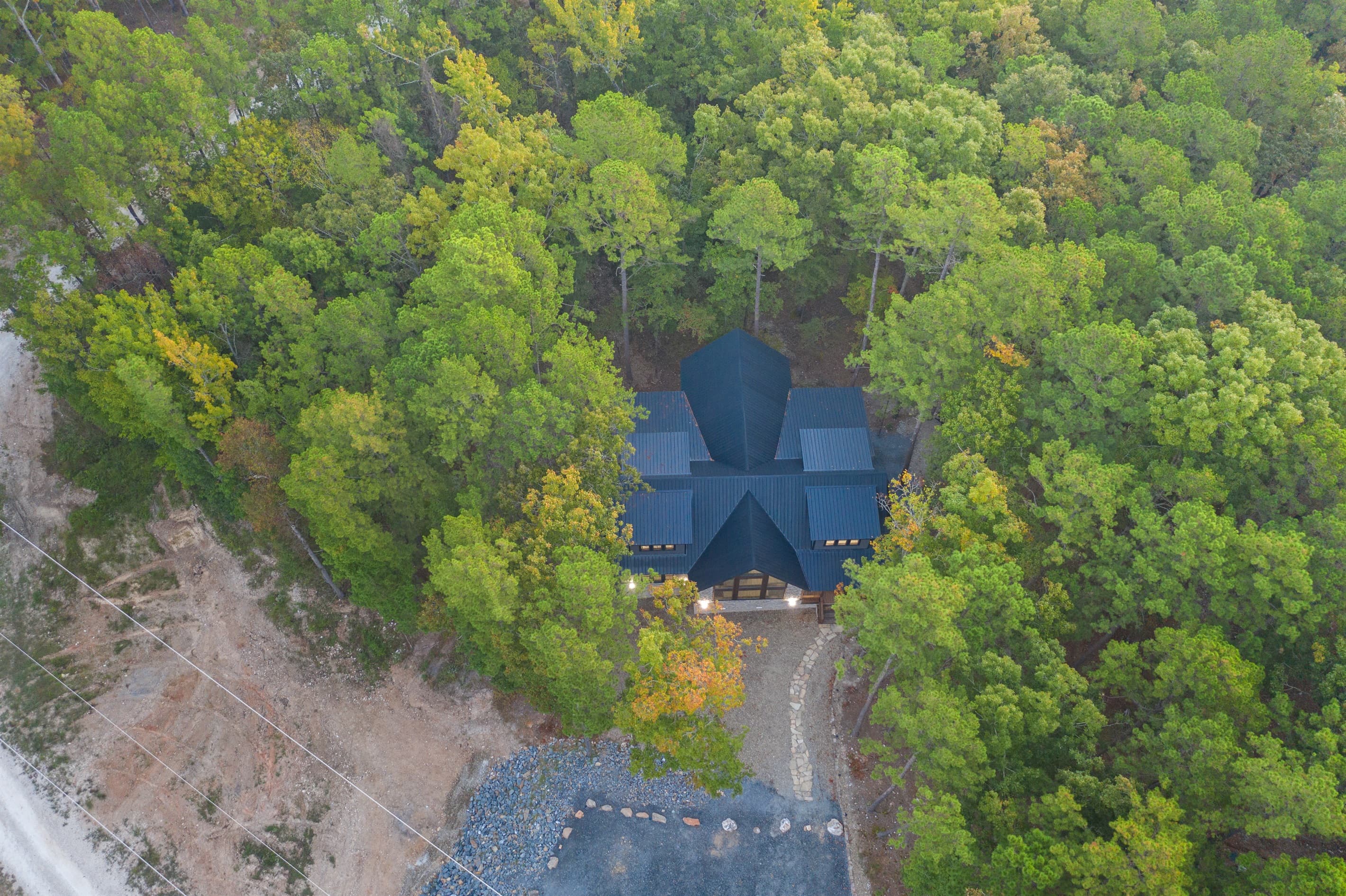 Beautiful trees surrounding the cabin