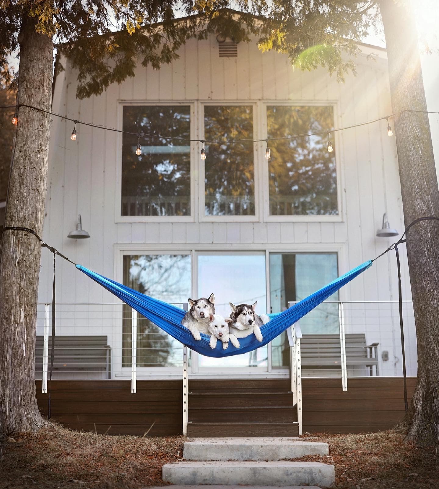 Yes, your dogs deserve a vacation too. We allow up to 3 dogs for $150/dog.