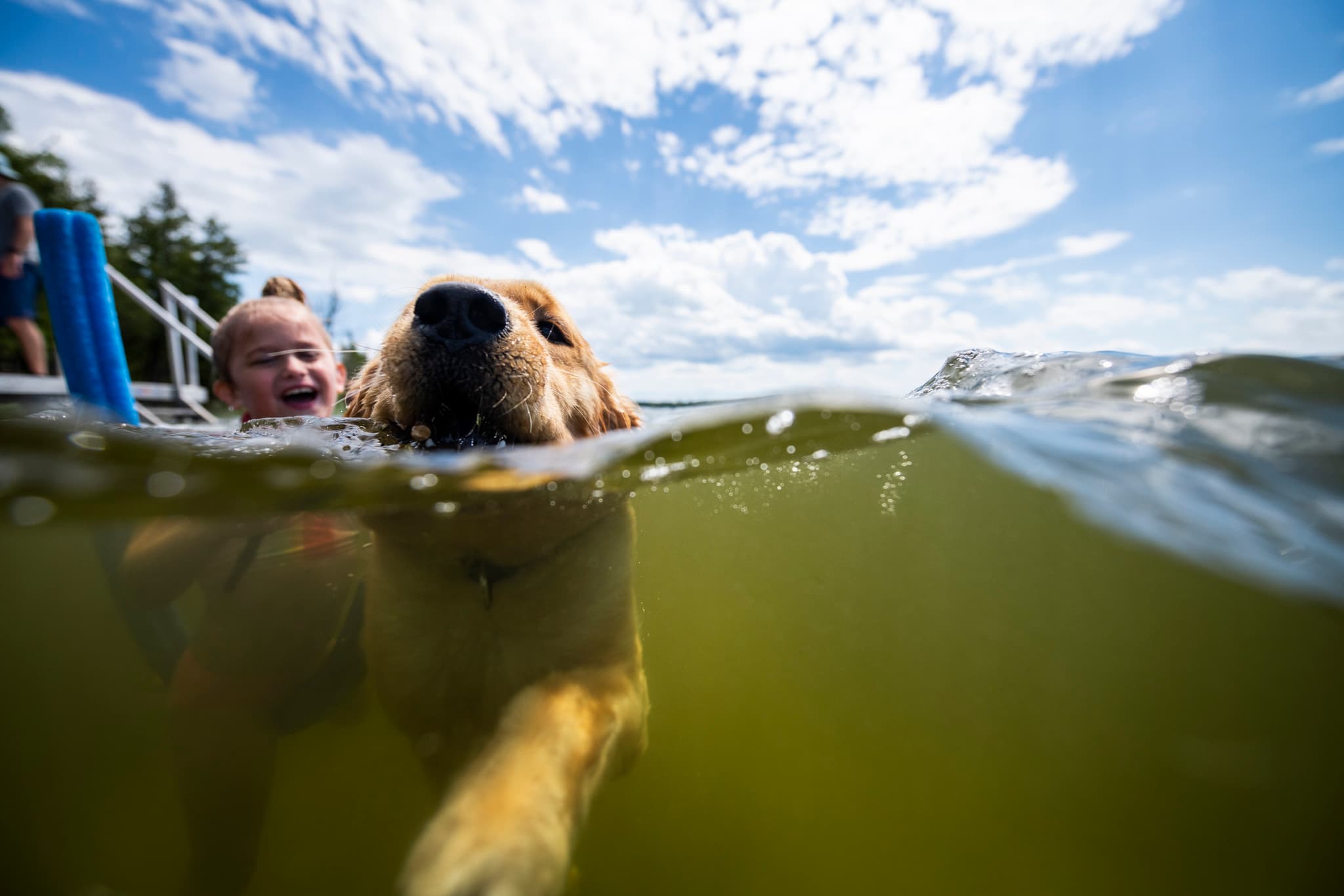Don't leave your buddy home from a trip to the lake, it's their favorite place too!