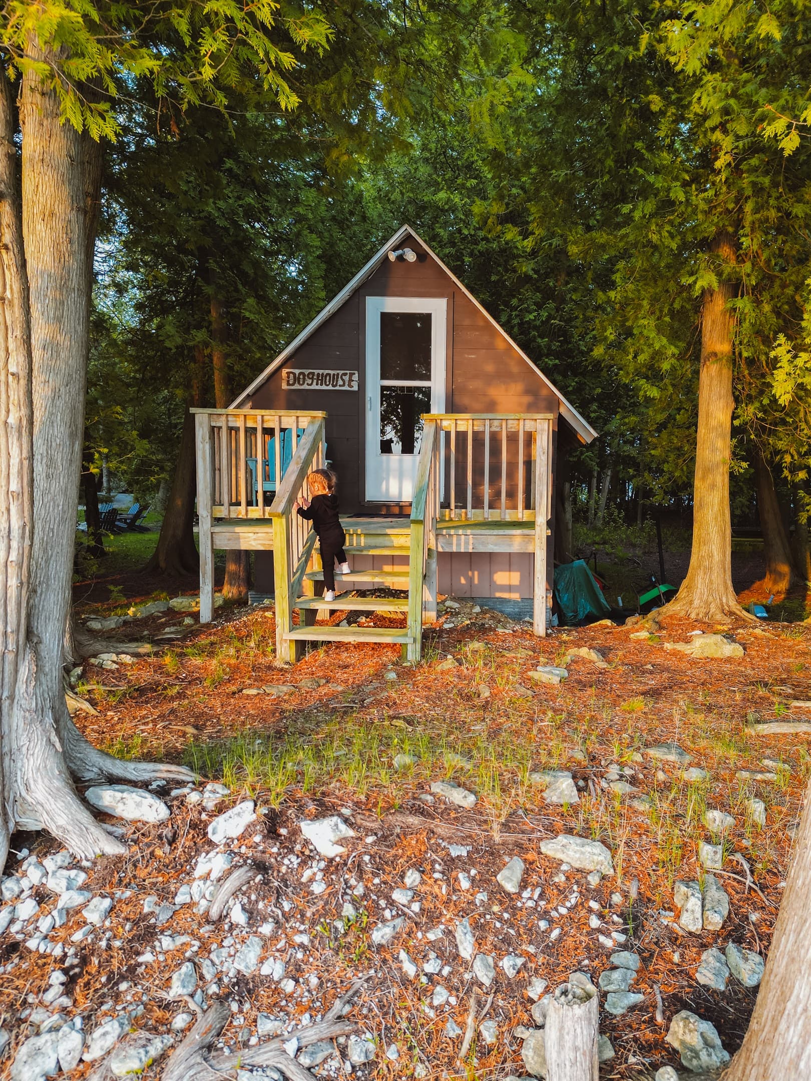 The "doghouse" containing 2 twin beds for your kids to enjoy!