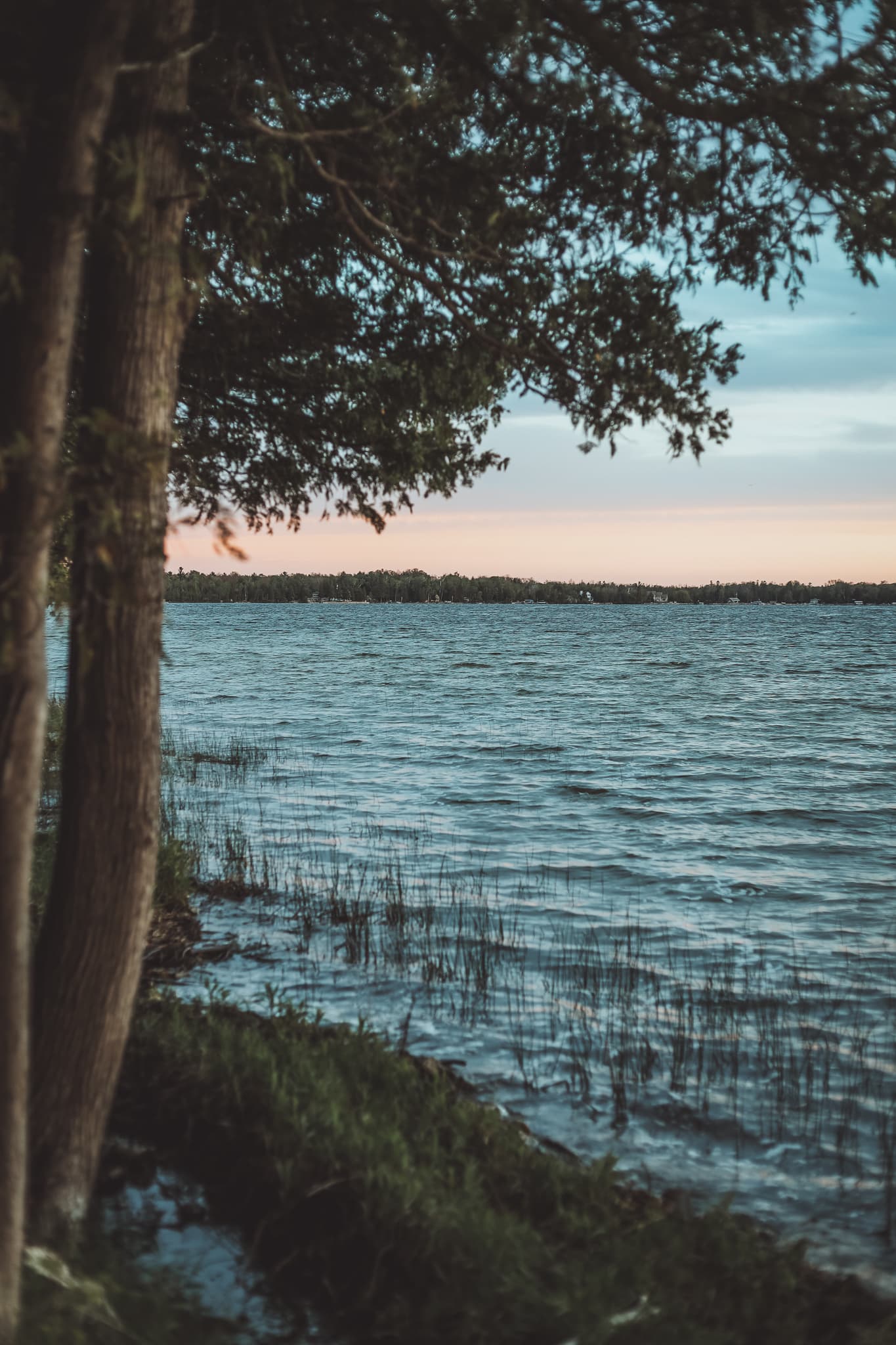 A view of the west side of the lake.