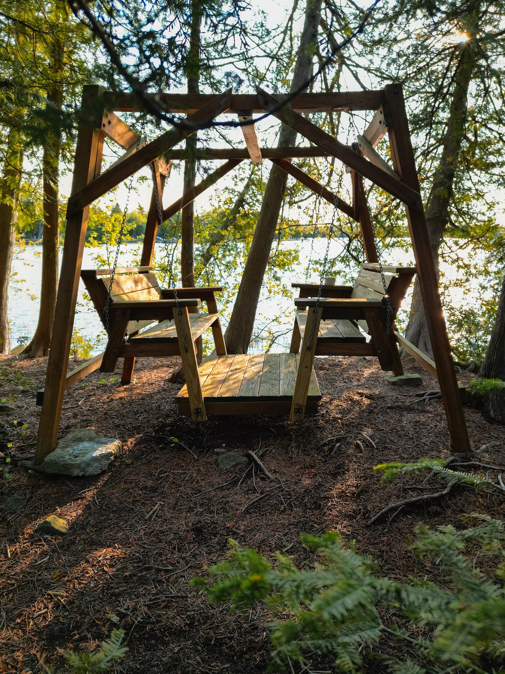 Swing provided at the tip of the point on the property